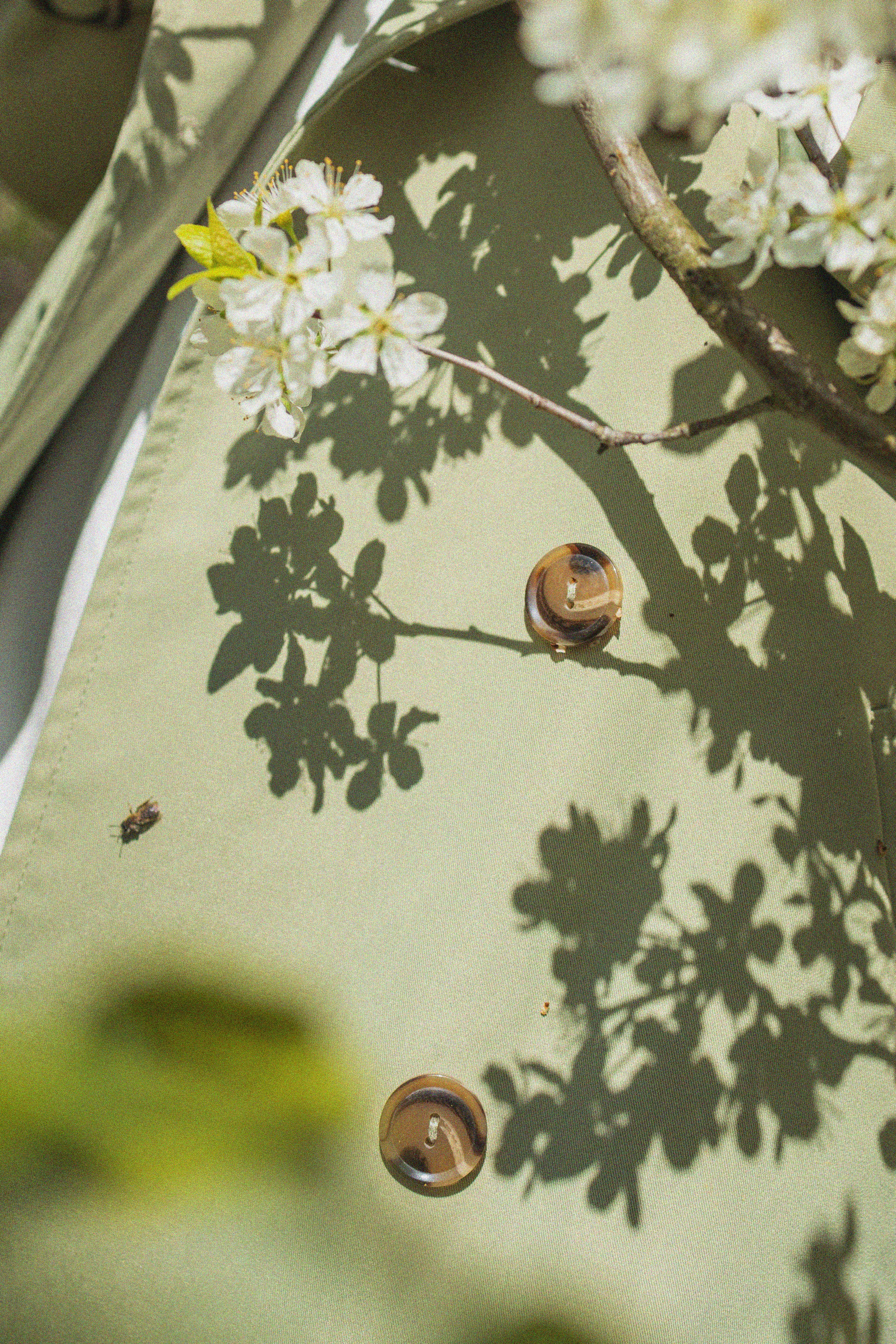 Эстетика П р о Я в л е н и я. Виноградова Маргарита. Фотограф P r o Явления