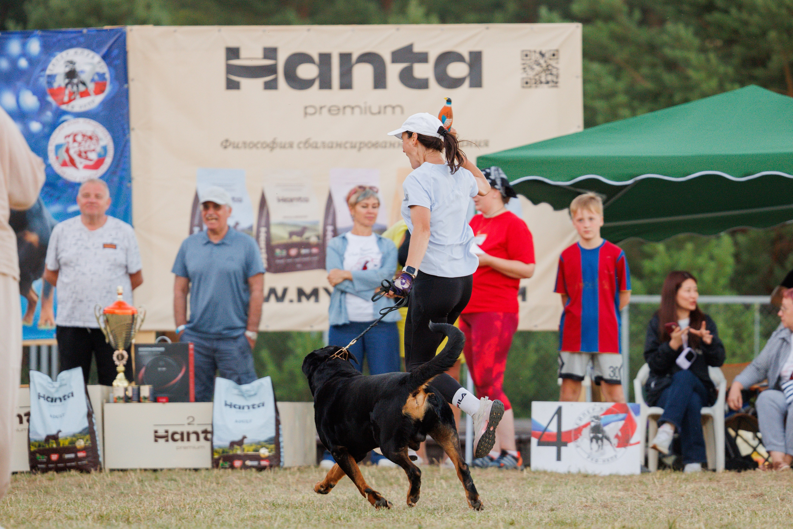 ПК и КЧК ротвейлеры Тверь 6-7.07.2024. Фотограф-анималист Юлия Германика