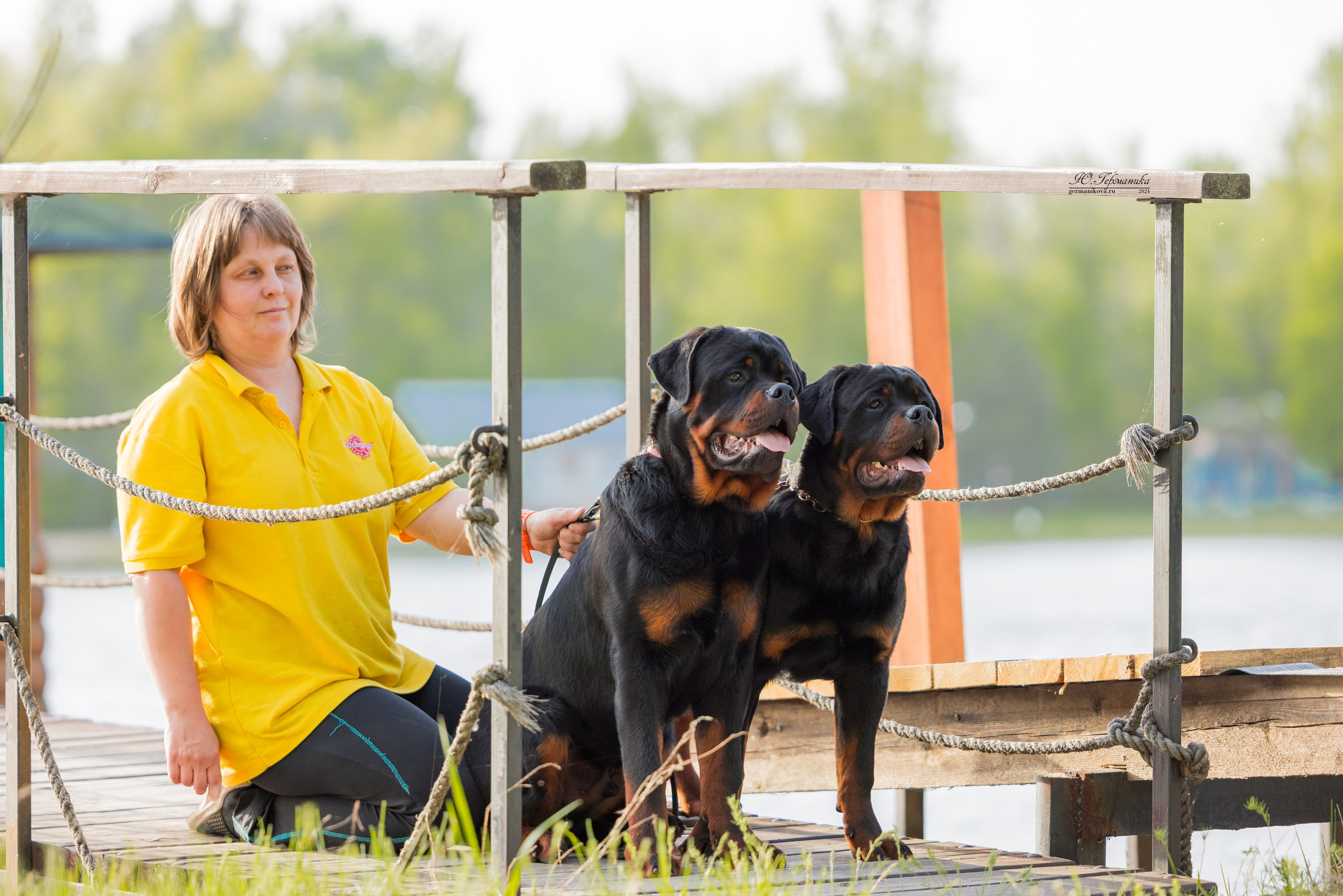 Саратов 2 х моно ротвейлеров 28-29.04.2024. Фотограф-анималист Юлия Германика