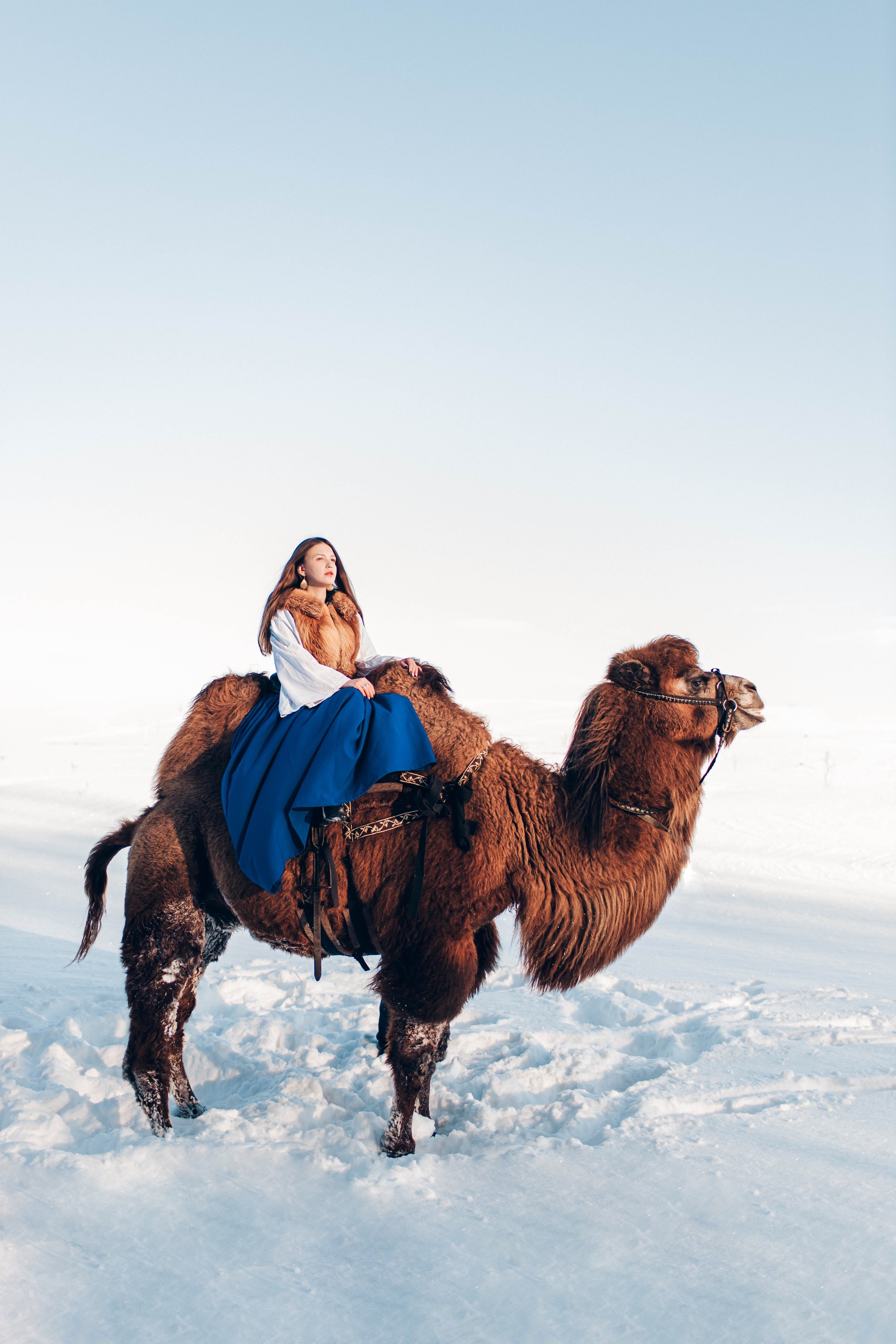 Леденящее приключение. Фотосессии Фотодни Псков СПб