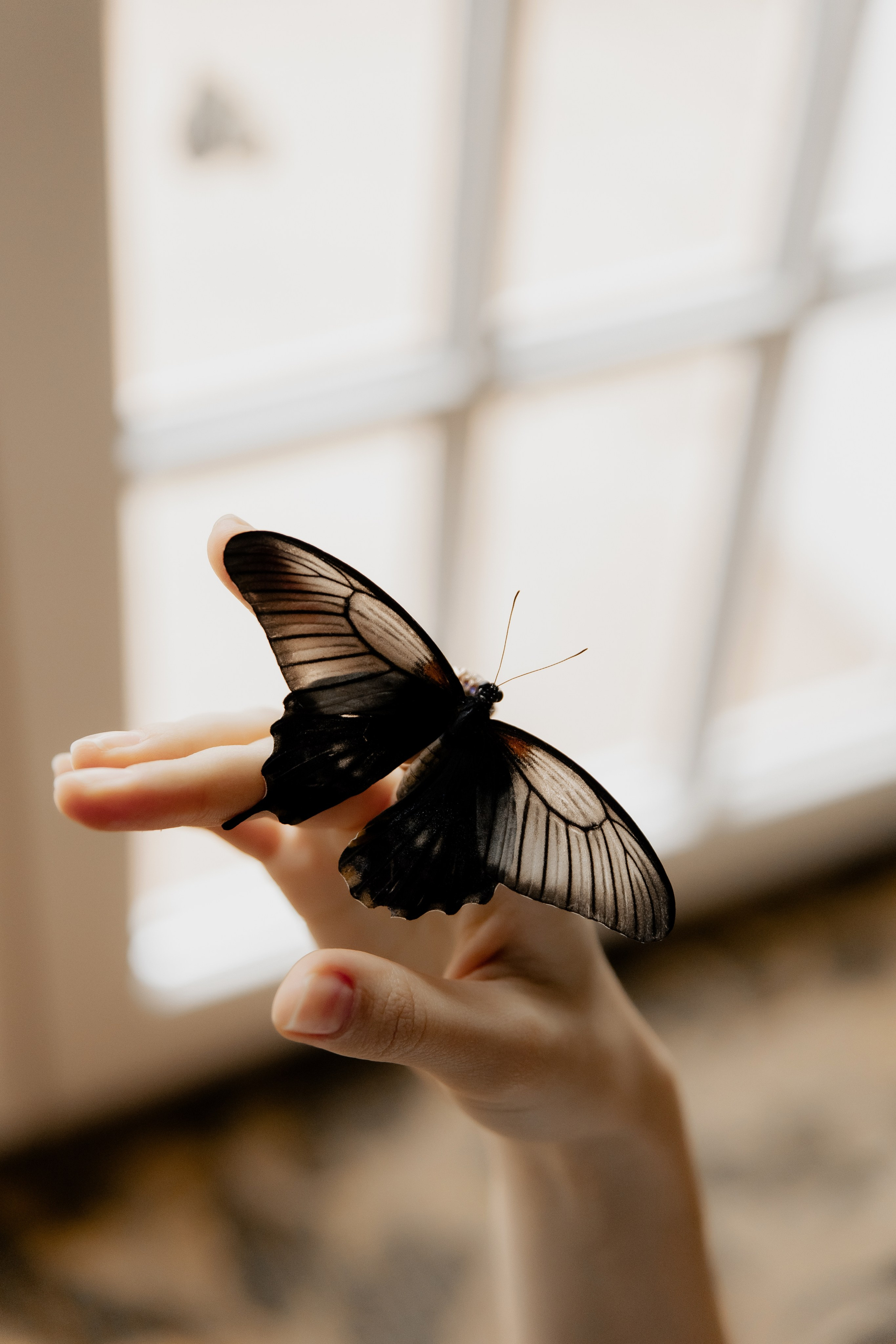 After Midnight История любви. Фотограф и Видеограф в Ростове на Дону