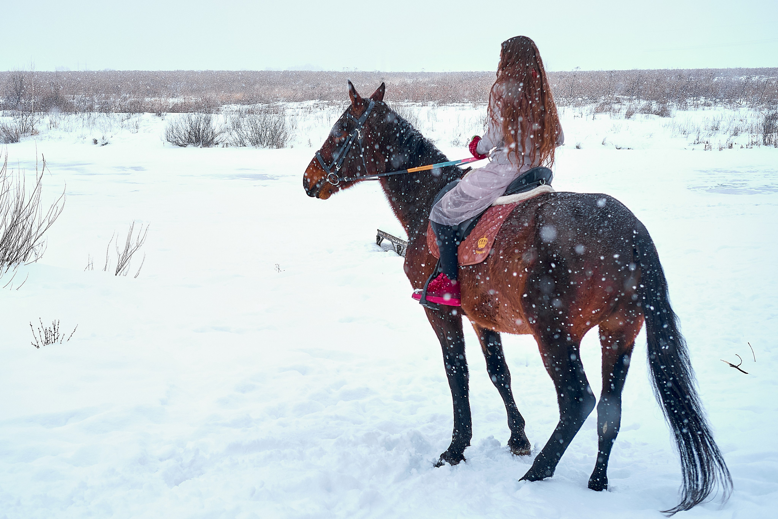 С лошадьми. Семейный и портретный фотограф в Новомосковске и Узловой Михеева Татьяна