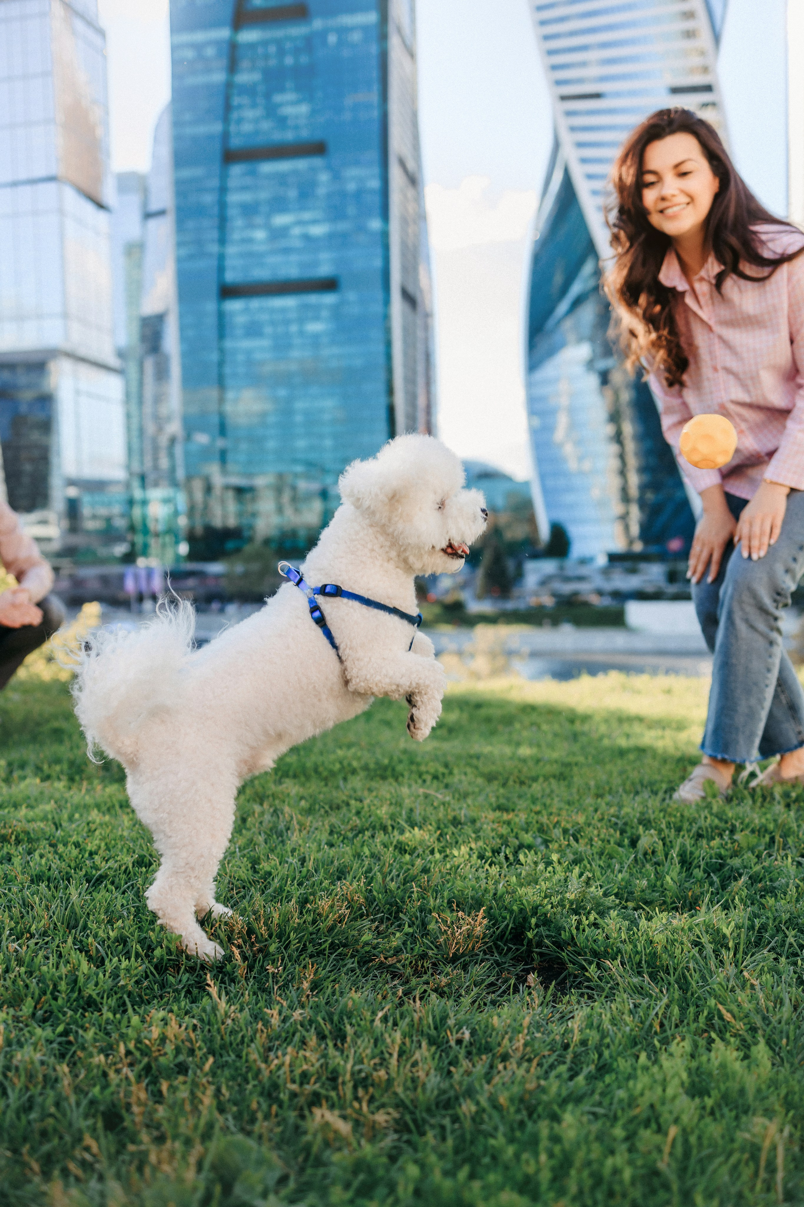 Марина, Данил и Бруно. Фотограф-анималист Елена Радченко, Москва
