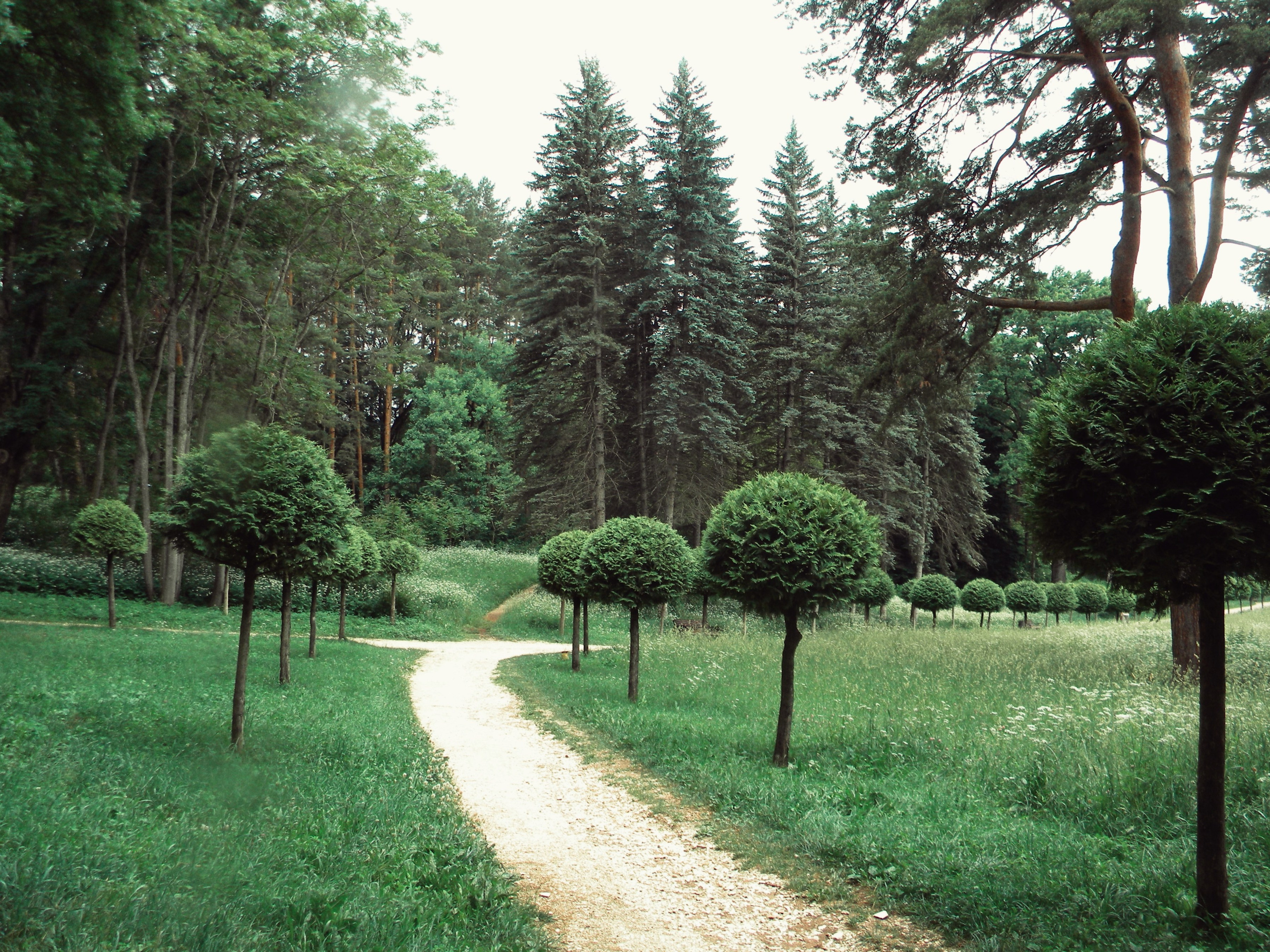 Пейзажи. By Анастасия Сигута