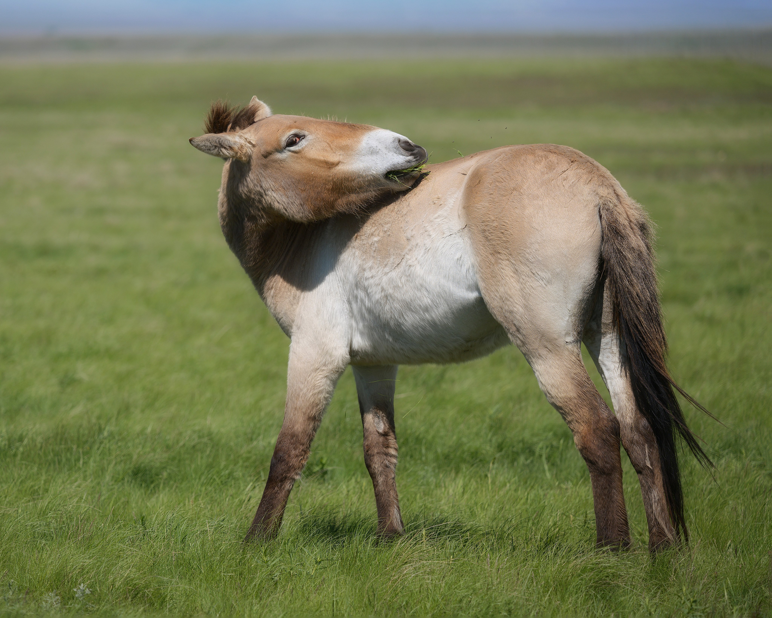 Оренбуржье. Портретный фотограф в Челябинске Катерина Руди