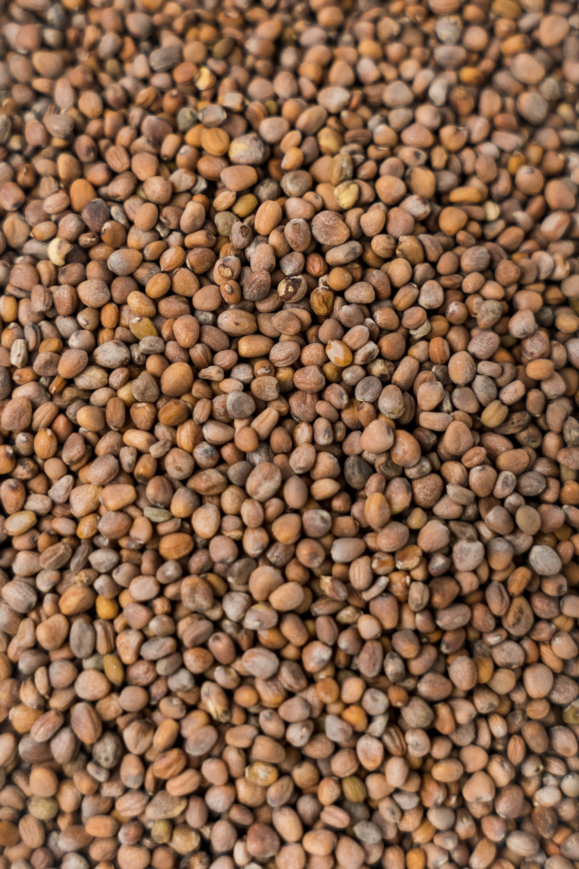 «ЧУДЕСНАЯ ЖИЗНЬ». Фотограф в Москве Казакова Анна