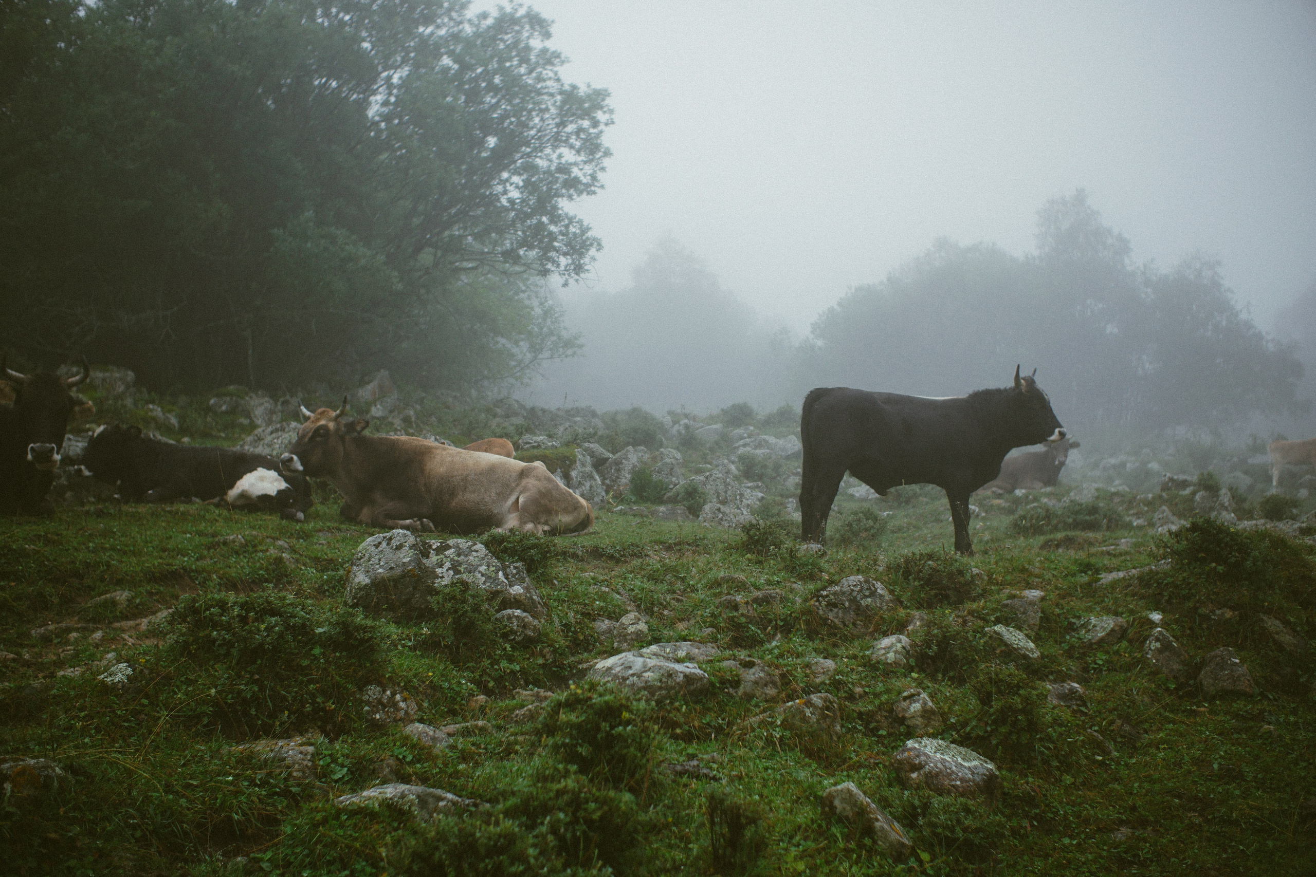 Блог про Верхнюю Балкарию. NECULTURED PHOTOGRAPHER