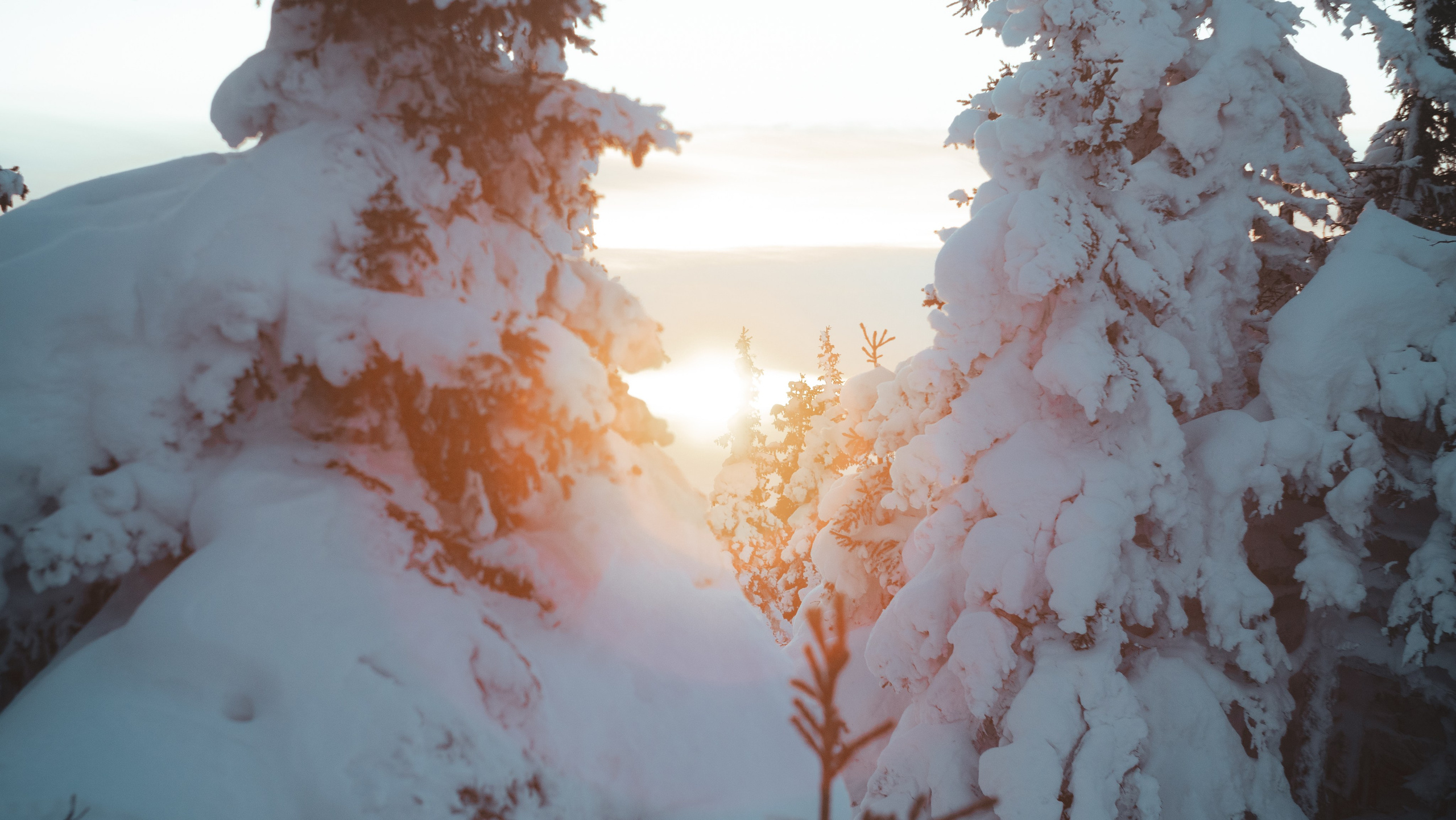 Фотографии из путешествий. NECULTURED PHOTOGRAPHER