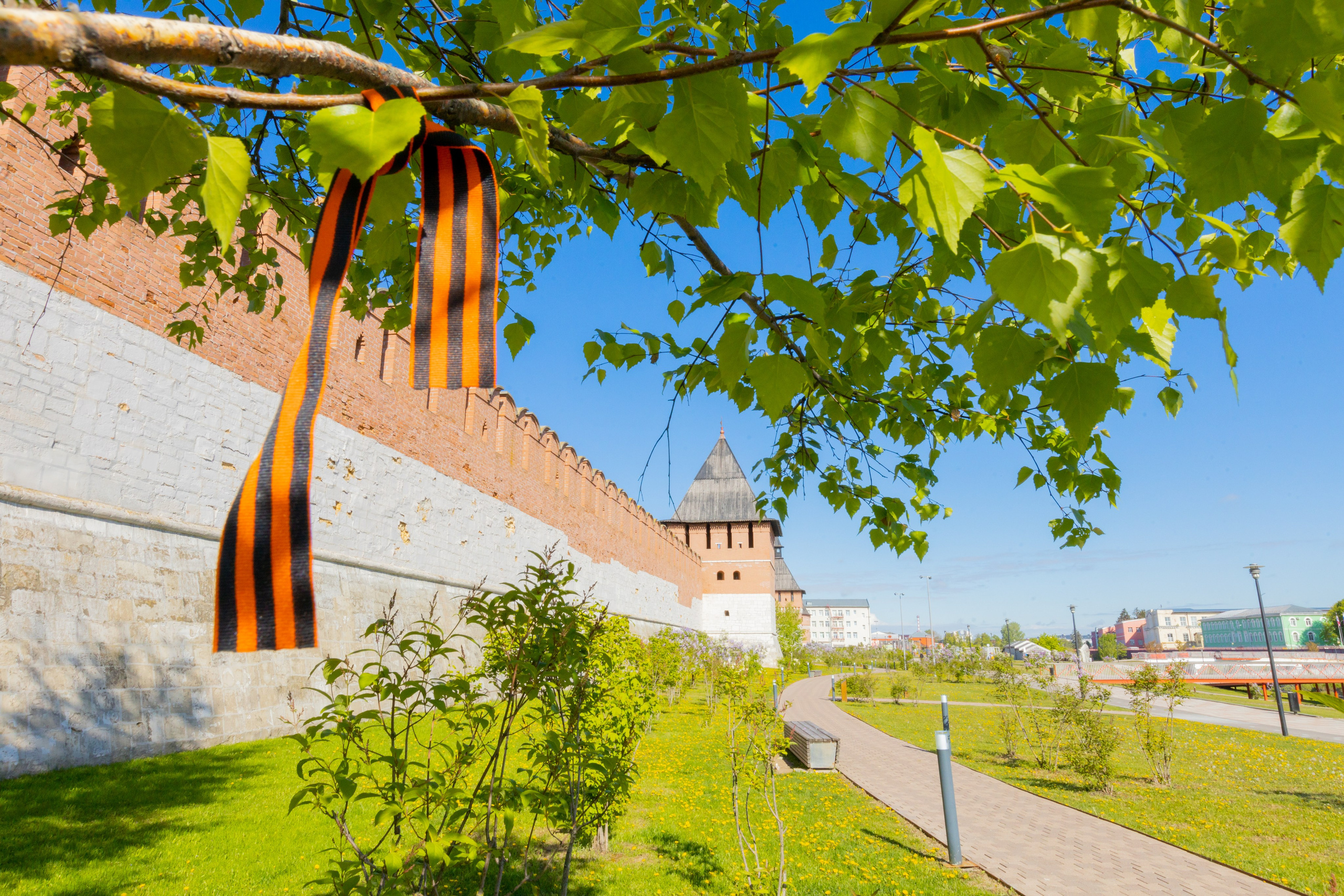 Весеннее цветение в Туле. Фотограф в Туле Крупский АнДРей. Фотостудия «КАДР71» в Туле