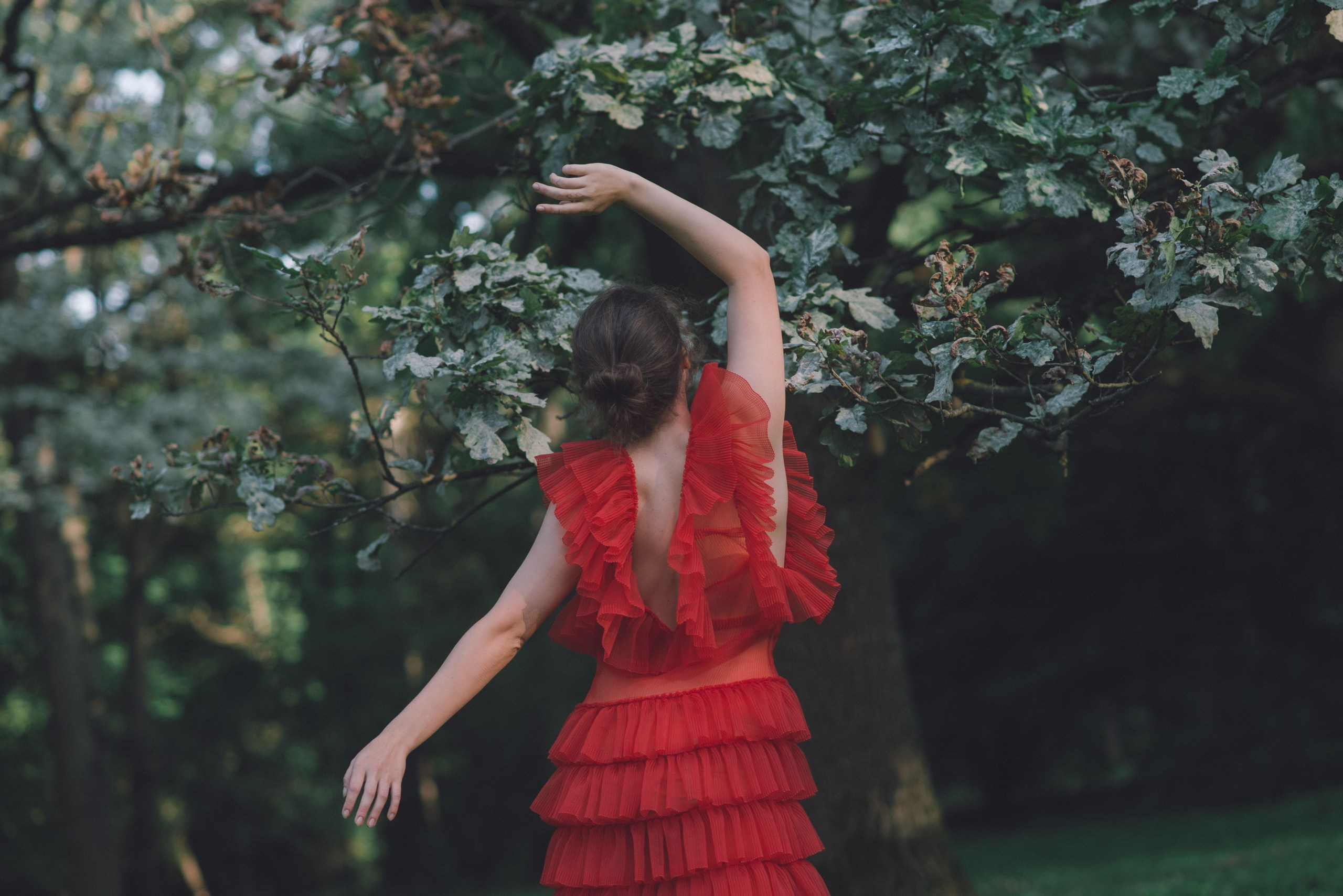 Red rowan. Фотограф в Москве Елена Брылева