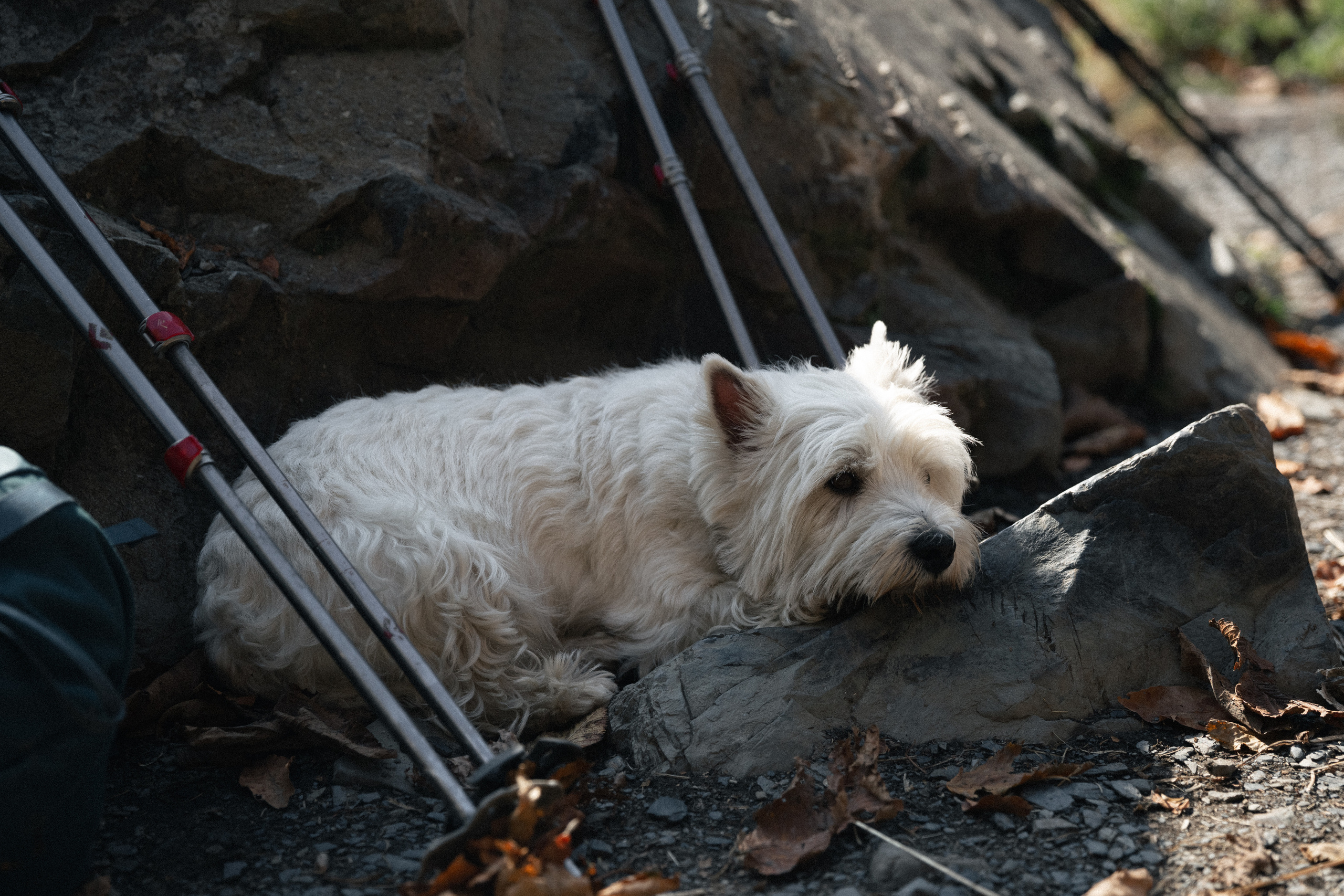 Поход на гору Ачишхо. Фотограф в Санкт-Петербурге