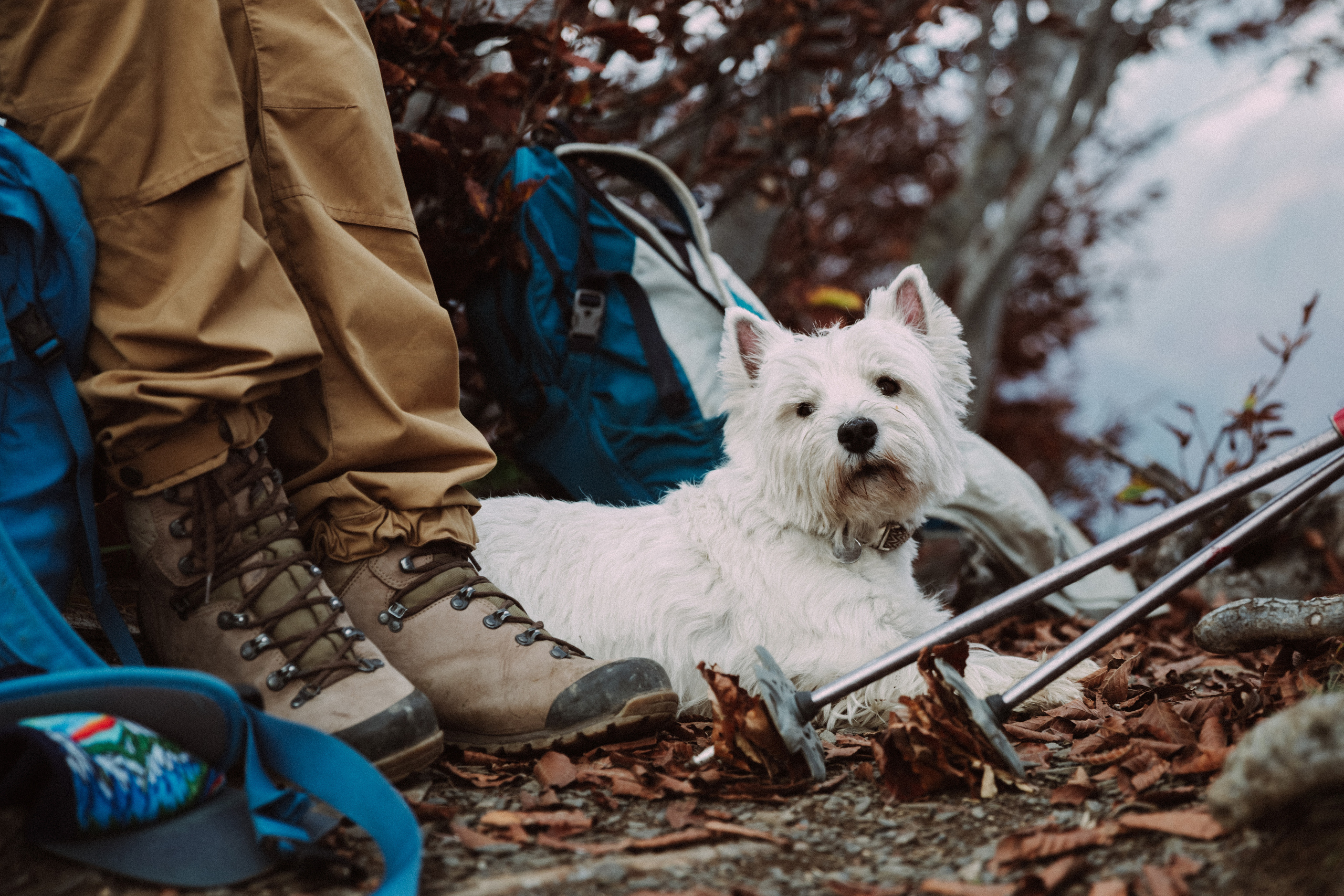 Поход на гору Ачишхо. Фотограф в Санкт-Петербурге