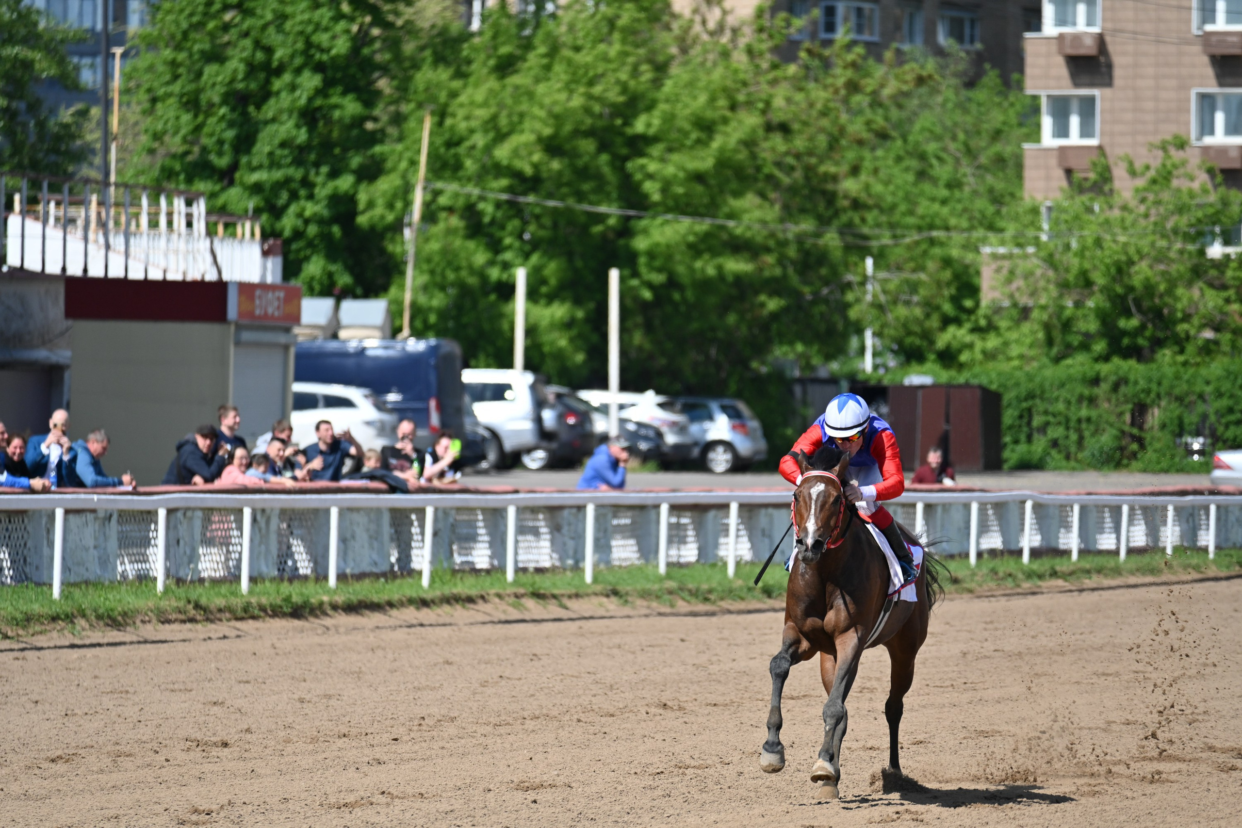 Московский ипподром. Fotolux