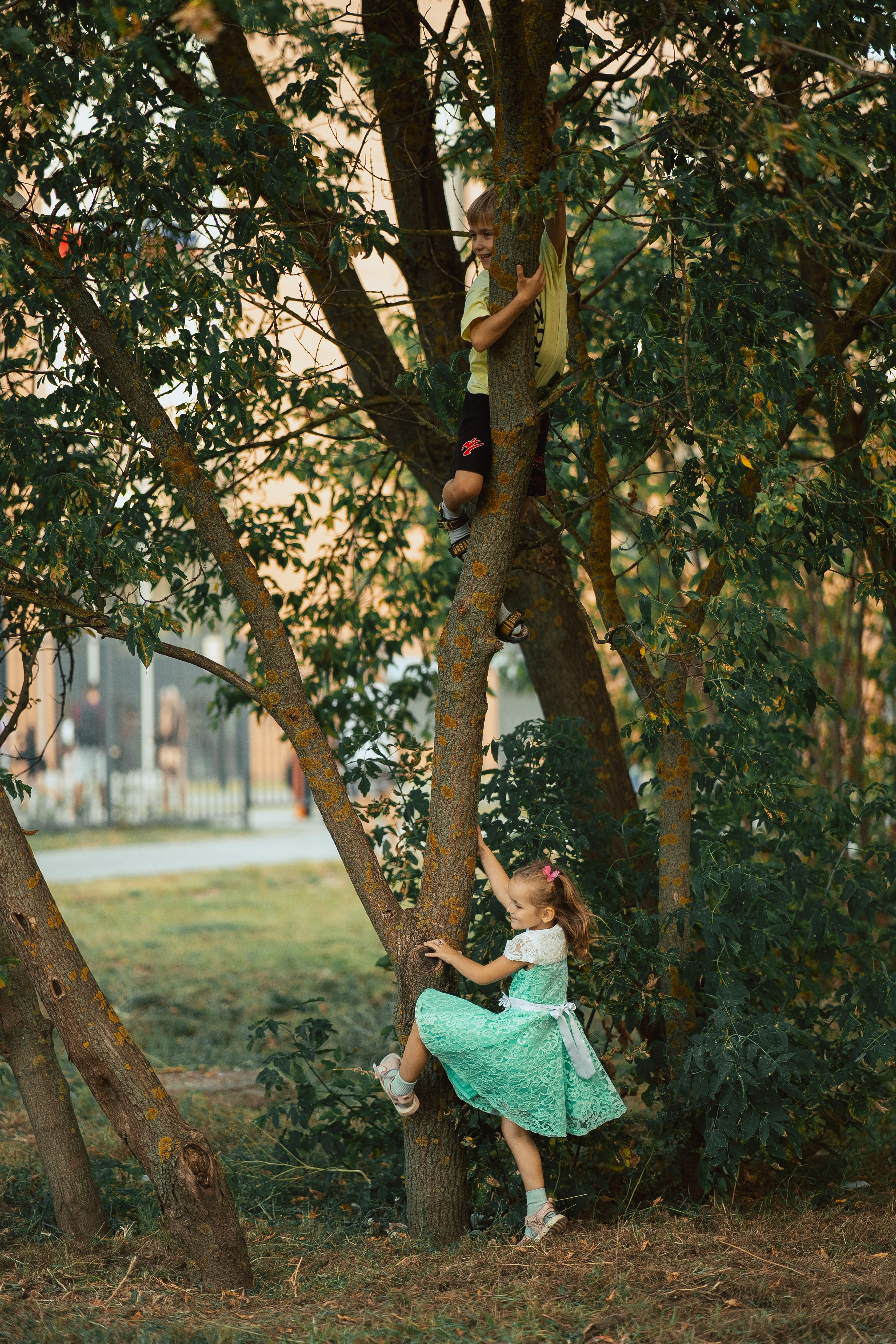 Лето. Фотограф Мария Зайчик