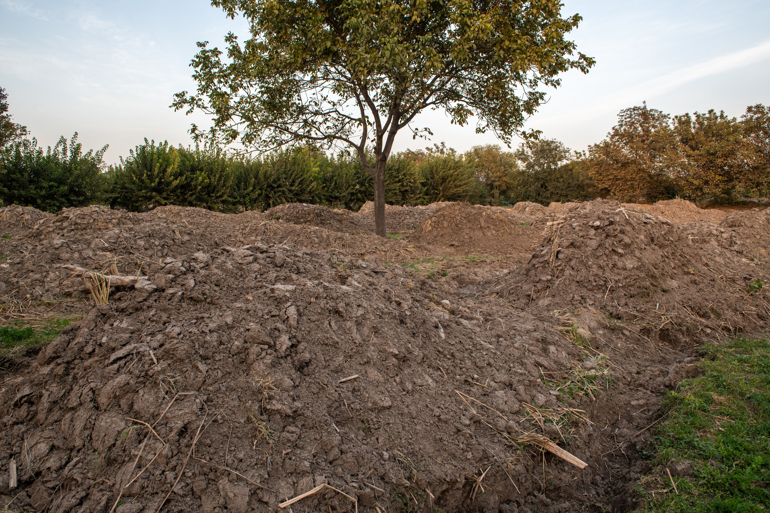 Узбекистан. Самарканд. Репортажный, спортивный и документальный фотограф в Ташкенте Алексей Елисеев