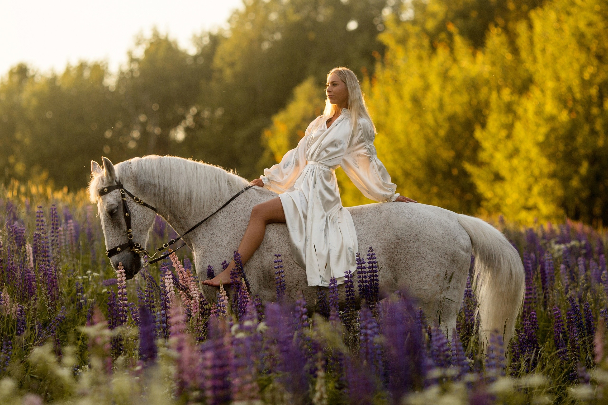 Фотосессии с лошадьми в Санкт-Петербурге