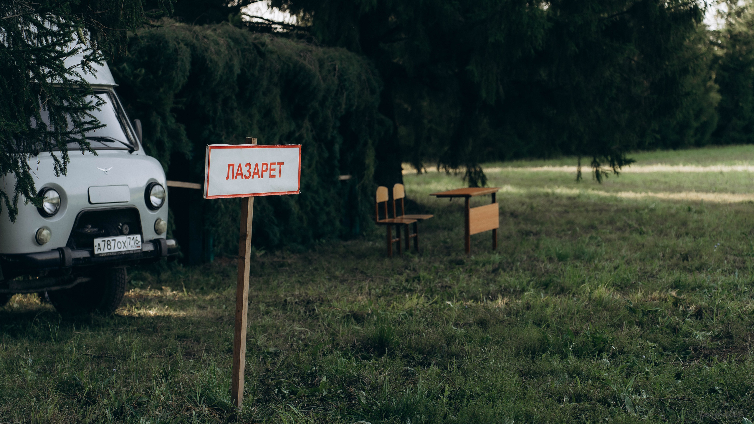 День Коня. Алиса Никитцова | Фотограф в Казани