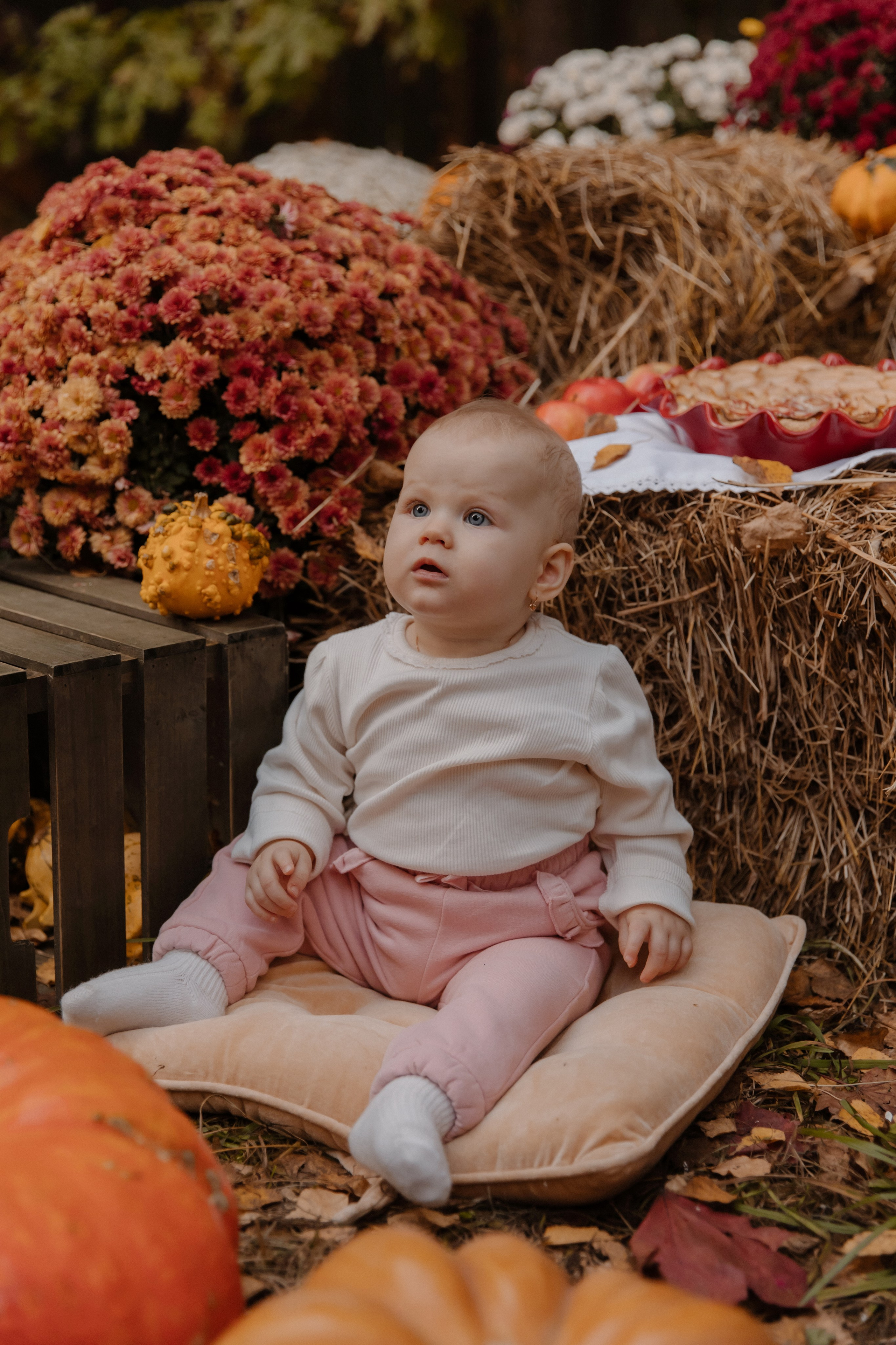 Съемка с кроликами. Семейный и свадебный фотограф в Москве и Зеленограде Пилипенко Юлия
