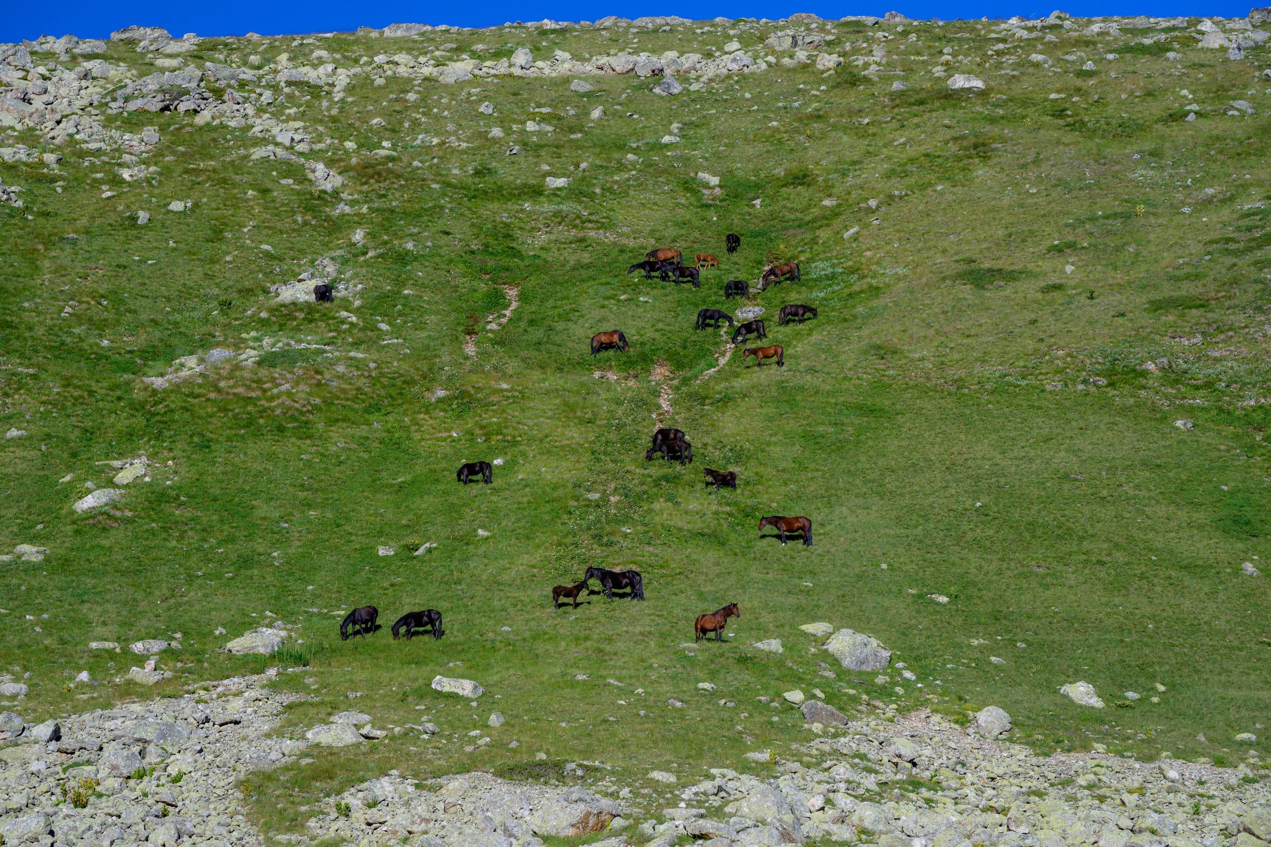 Экспедиция 2025