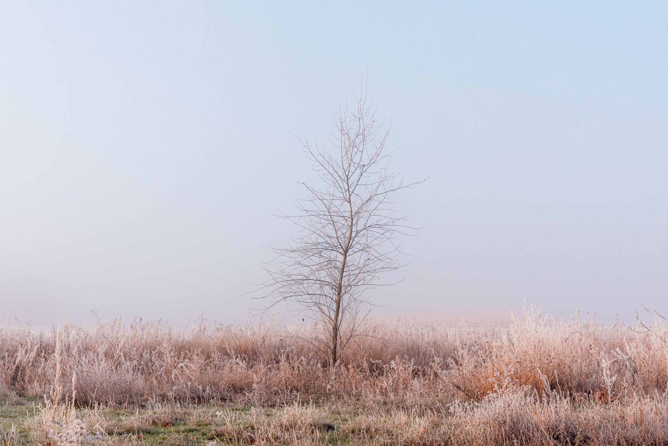 Фотографии утреннего тумана под Волжским. Фотограф в Волгограде и Волжском Александр Горбань
