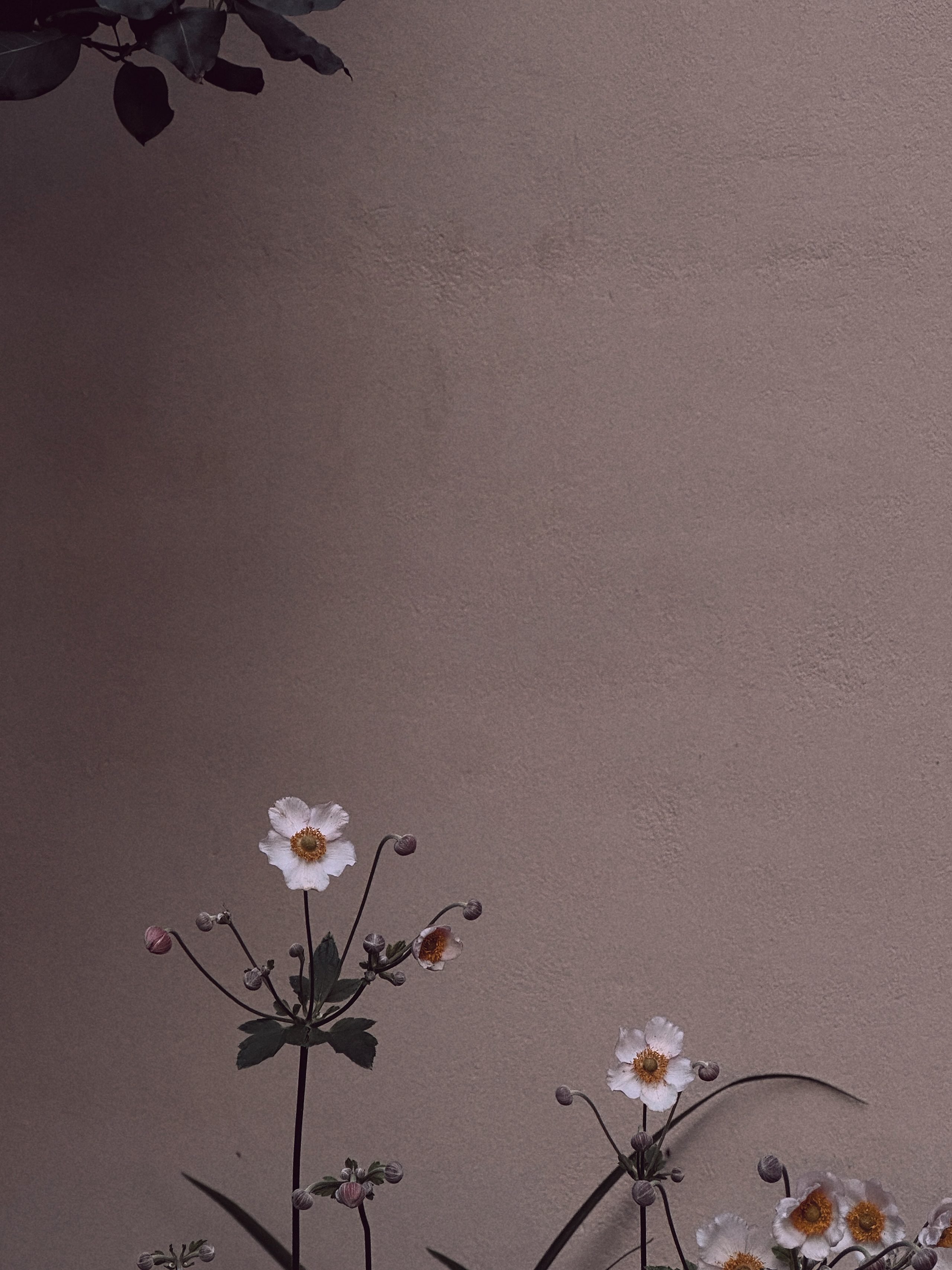 Флора и фауна. Смотри, красота!