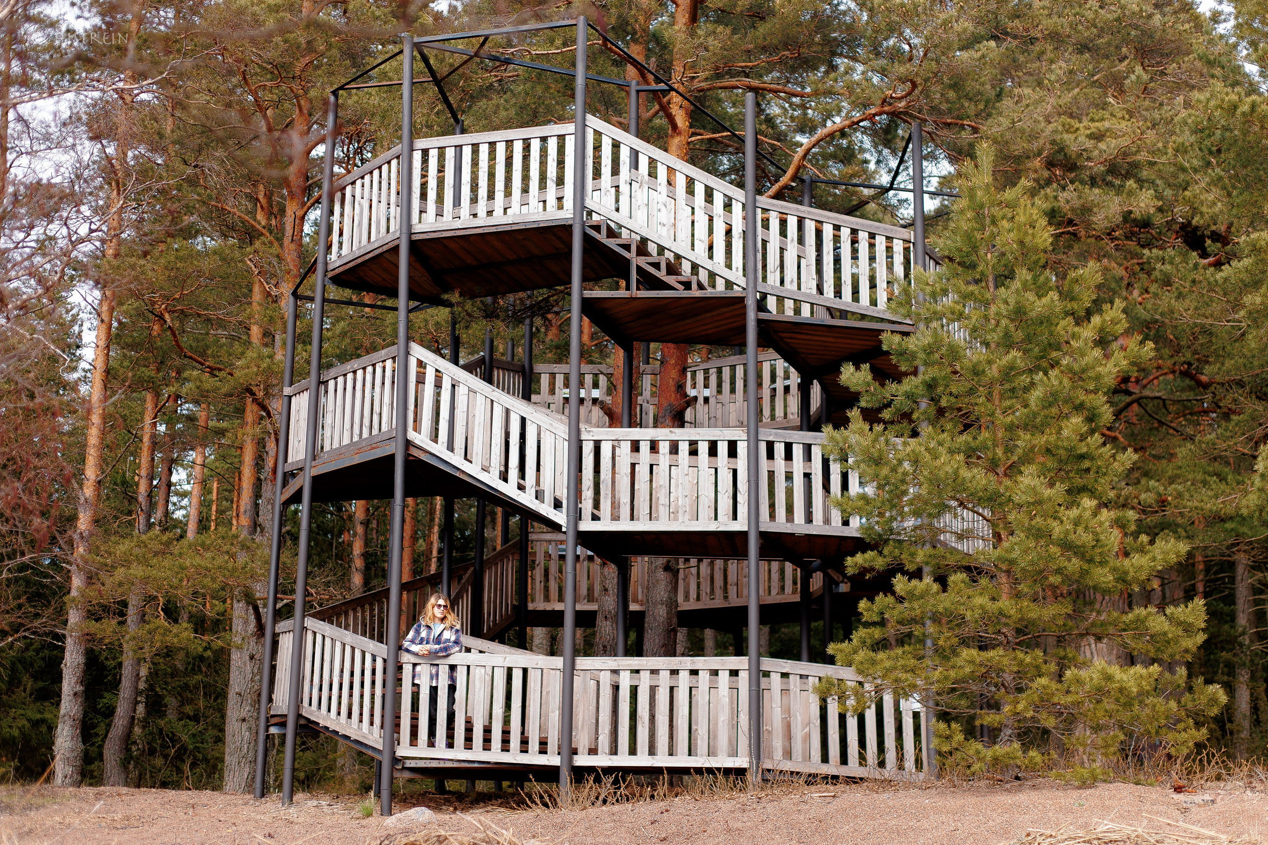 Shanti Home. Фотограф-анималист Наталия Чистюхина в г. Сосновый Бор и ЛО