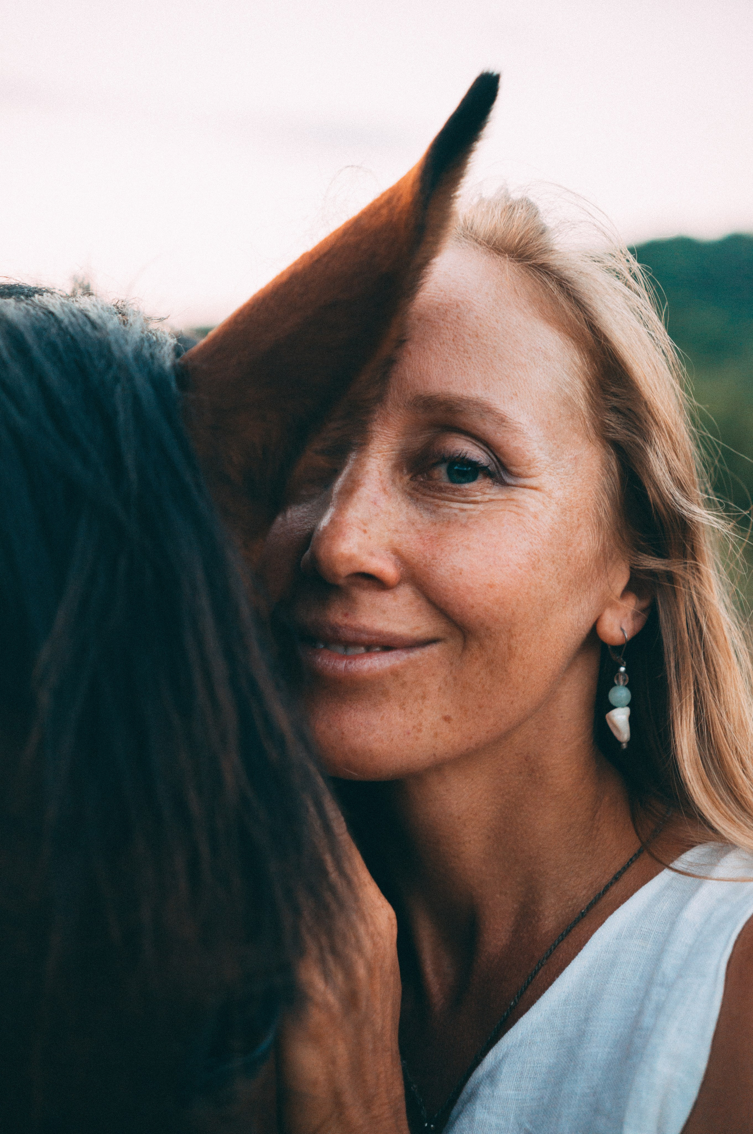 Проект свободных лошадей. Обо мне