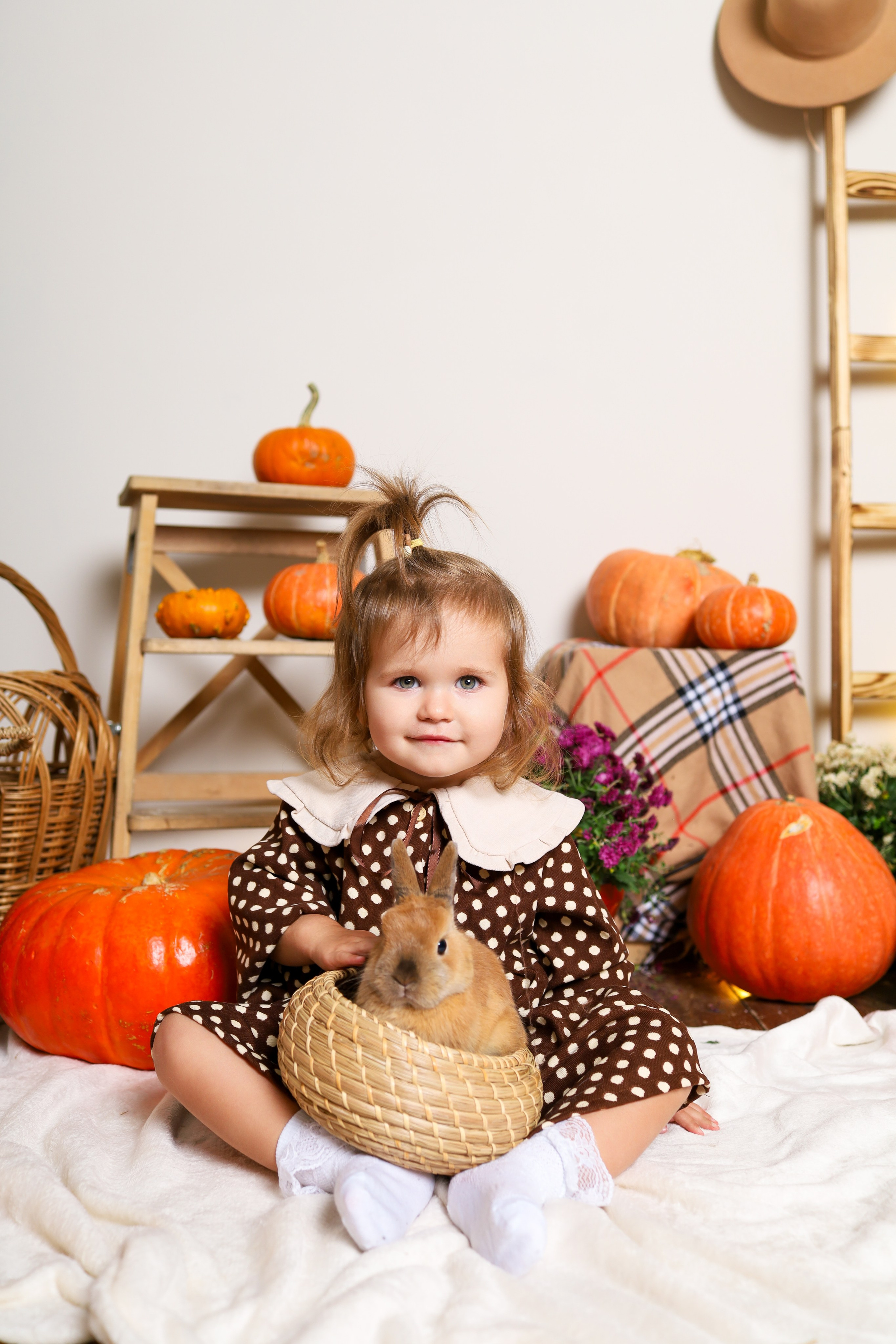 Пушистый друг. Фотограф в Туле Аушева Юлия