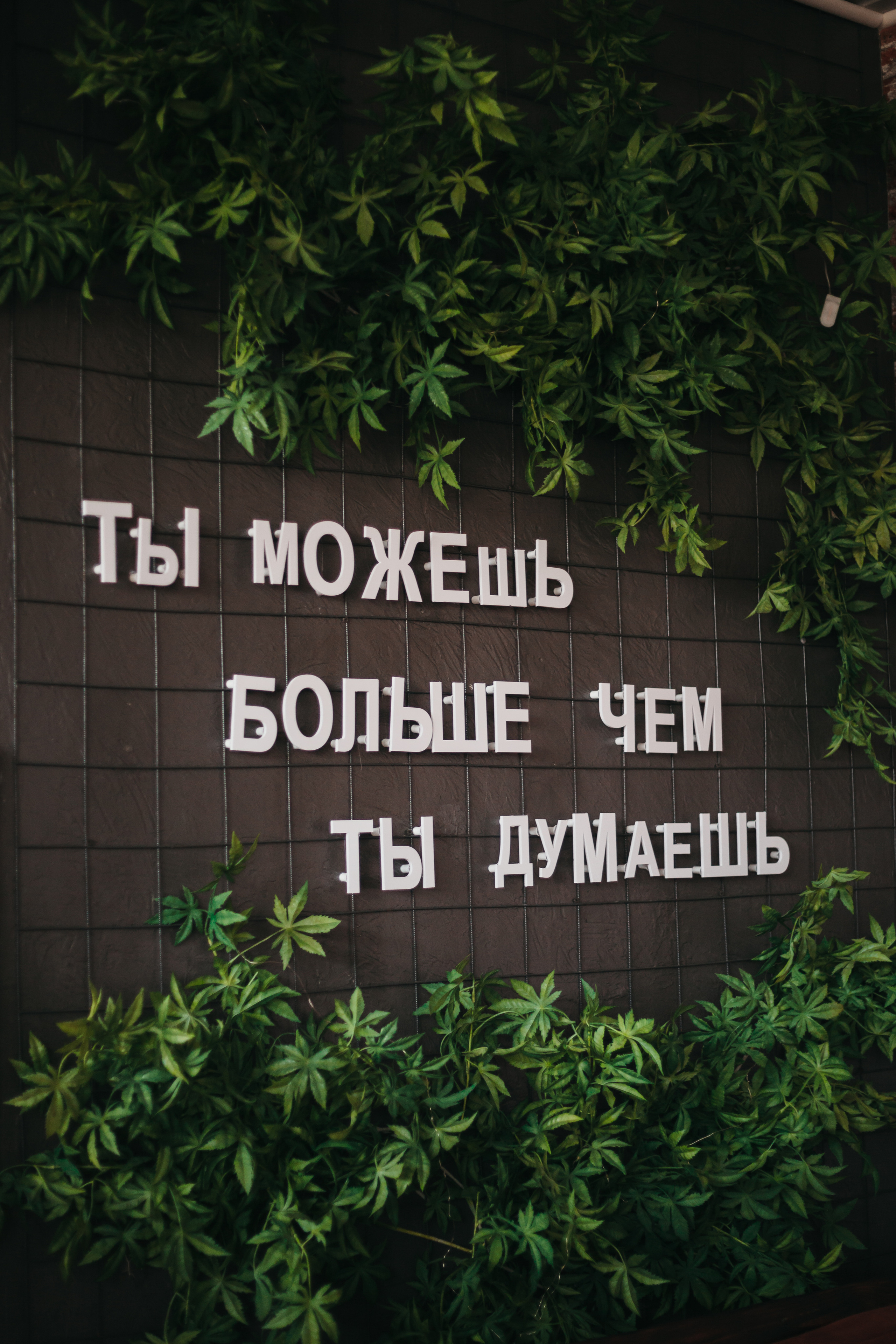 Кофейня «ZERNO». Фотограф Ставрополь