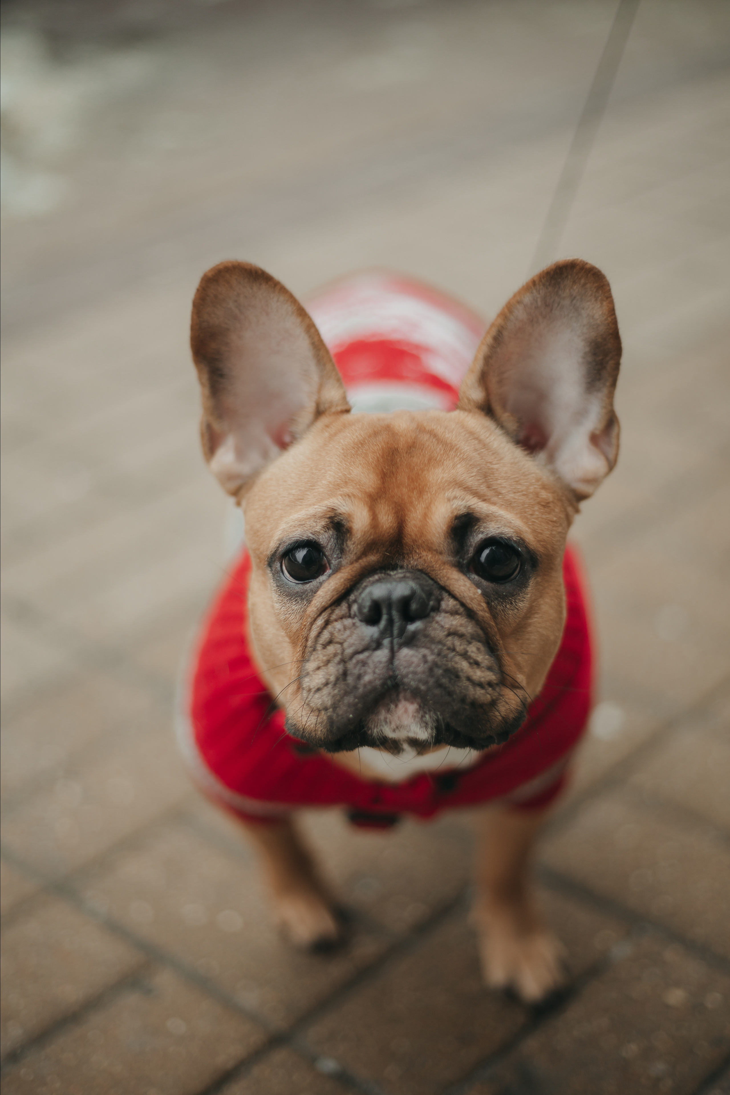 Анастасия. Фотограф Ставрополь