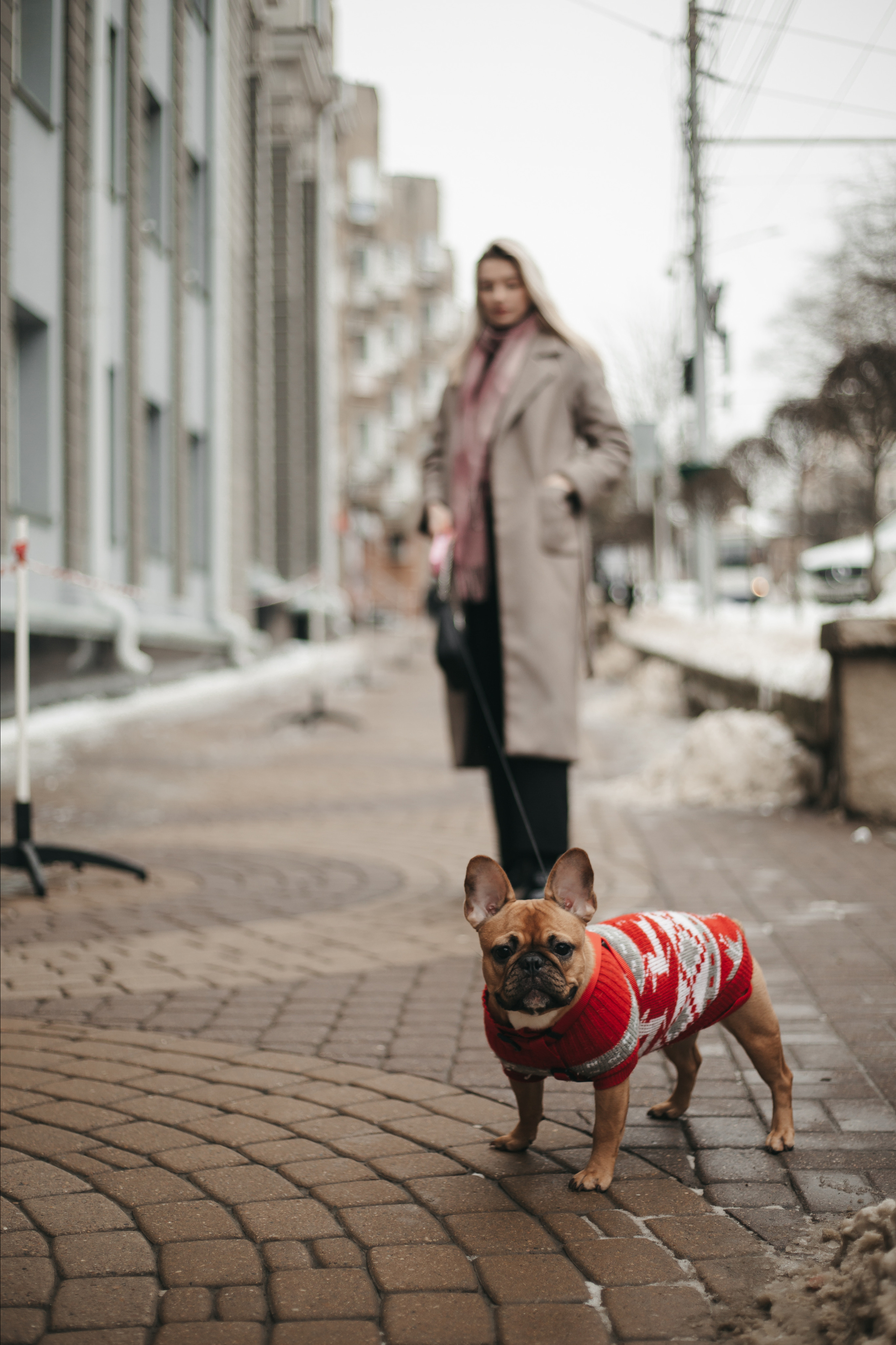 Анастасия. Фотограф Ставрополь