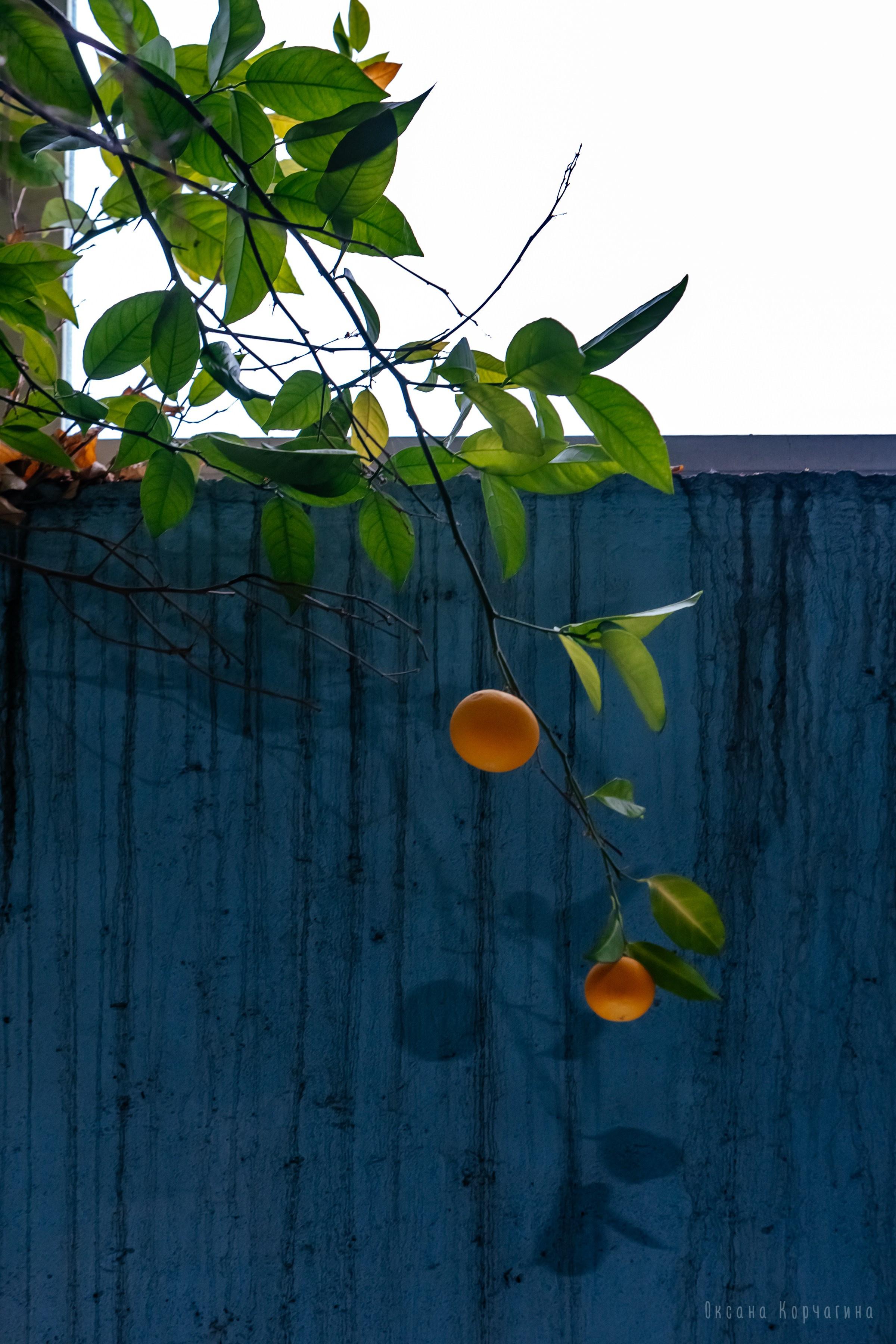 Судоремонтный центр. Фотограф в Красноярске Оксана Корчагина