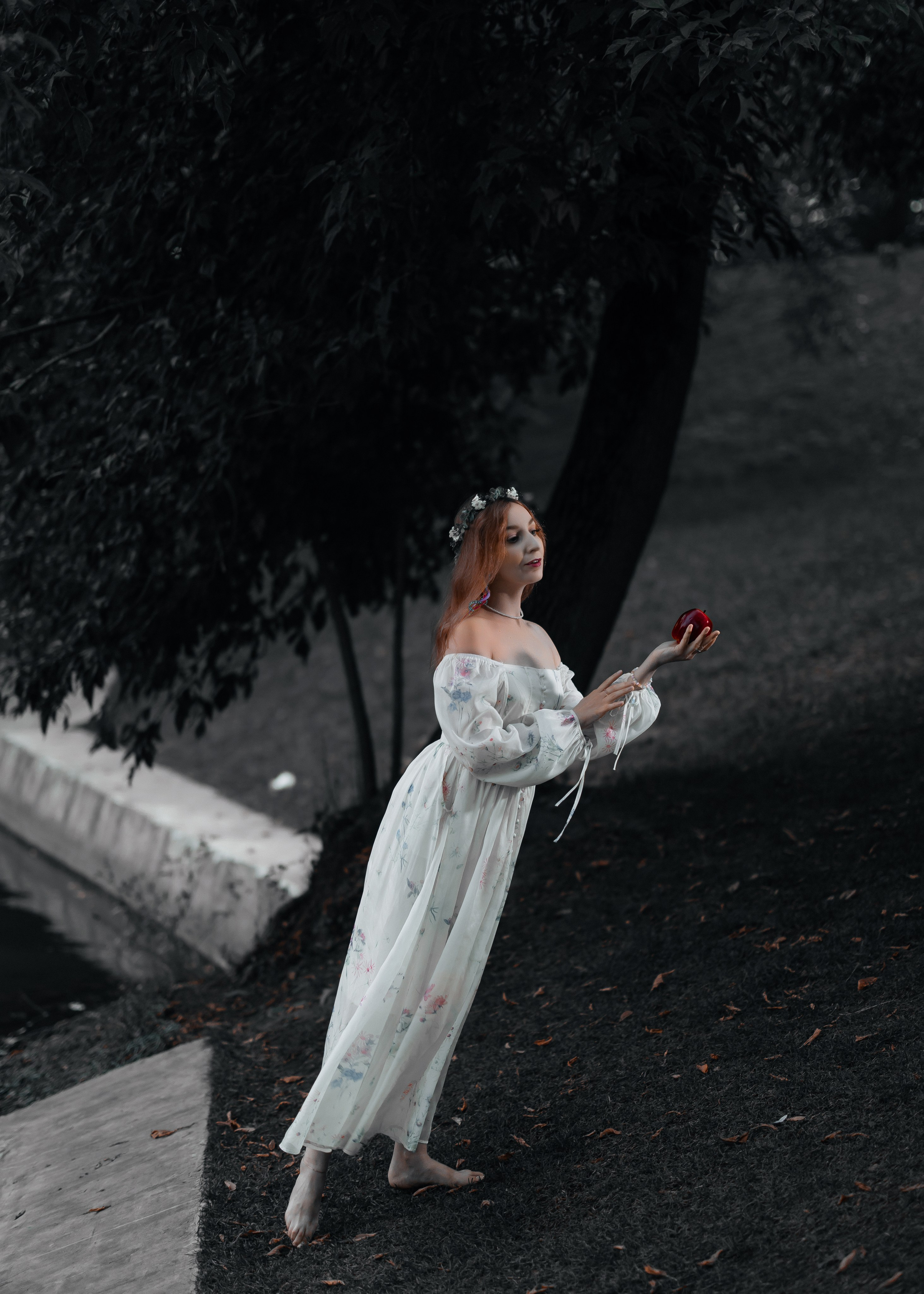 ELENA. Shamirov Arkadiy