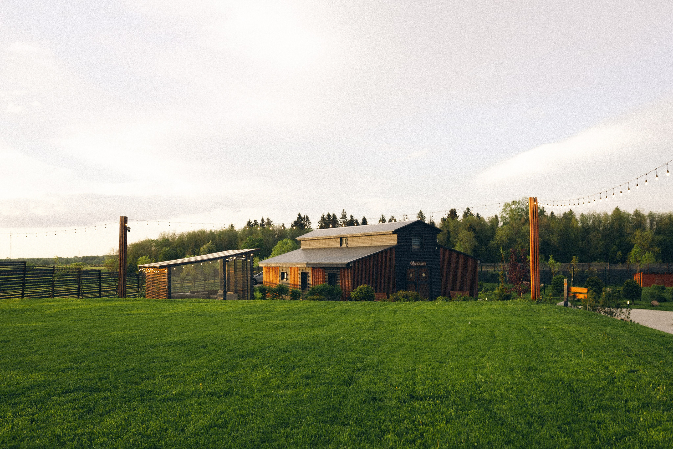 Vinity Forest. Фотограф Анастасия Платонова | Санкт-Петербург