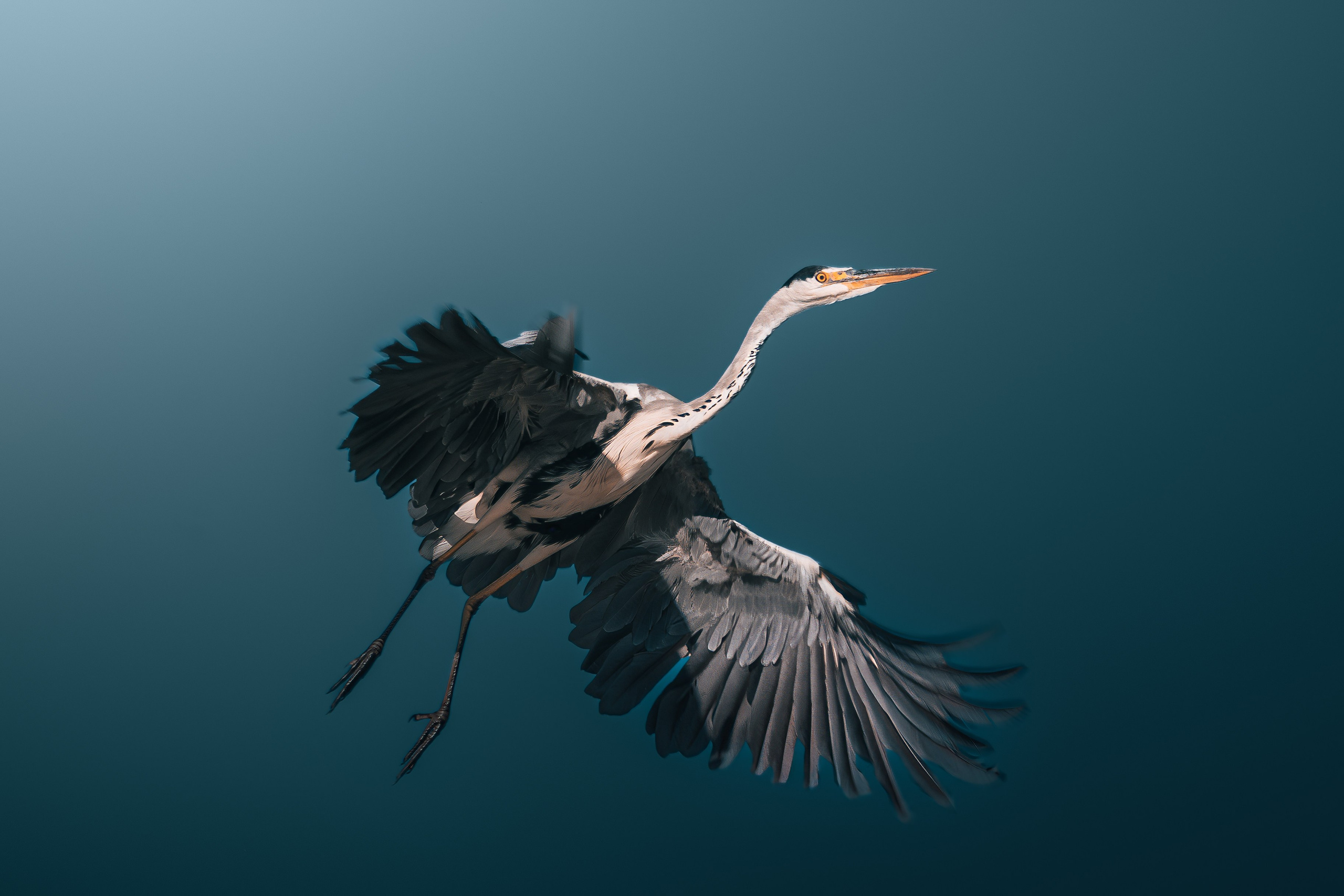 Астраханская область 2025 | Фотограф Дмитрий Купрацевич. Дмитрий Купрацевич профессиональный пейзажный и travel-фотограф