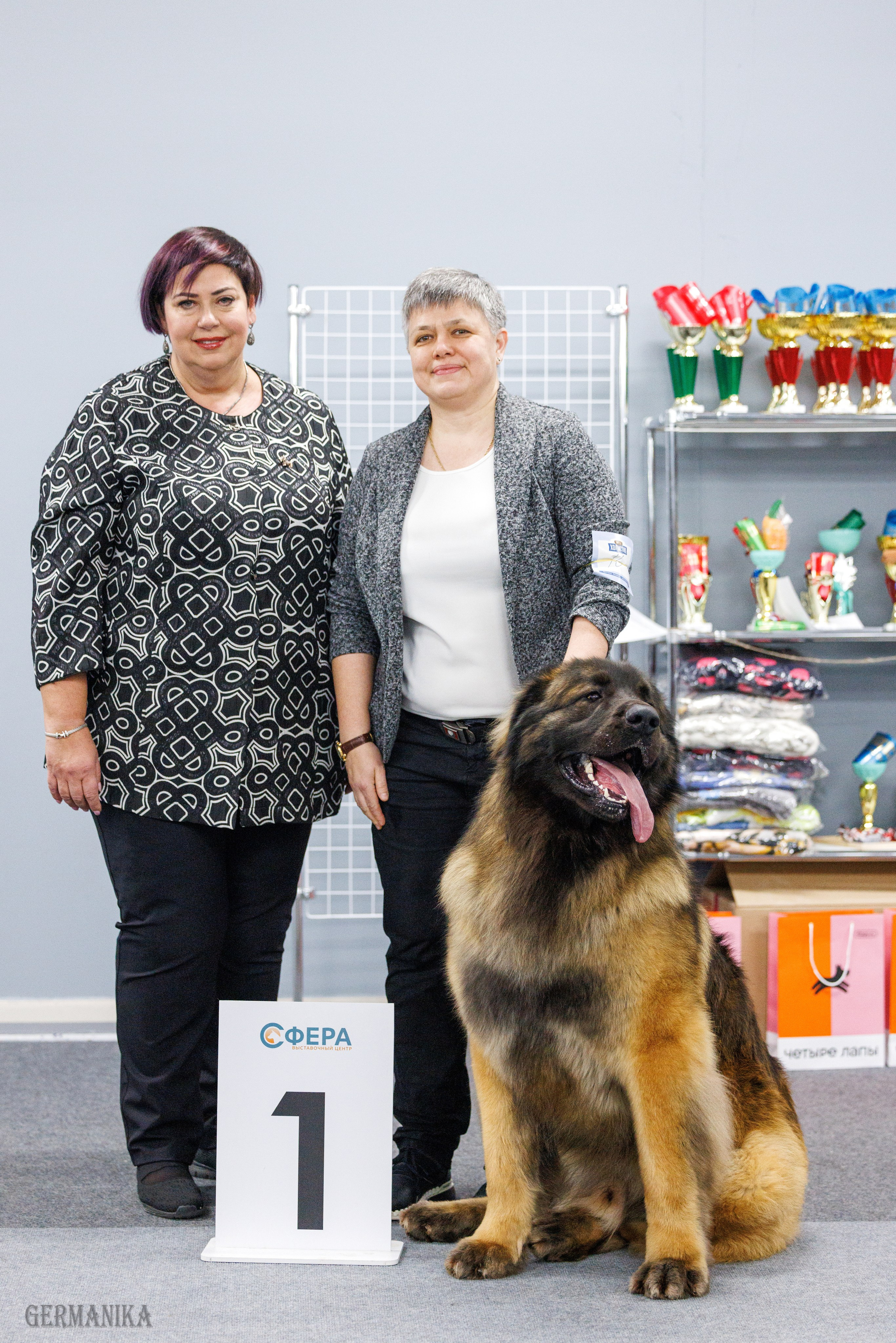 Сфера 28.01. и 4.02.2024. Фотограф-анималист Юлия Германика