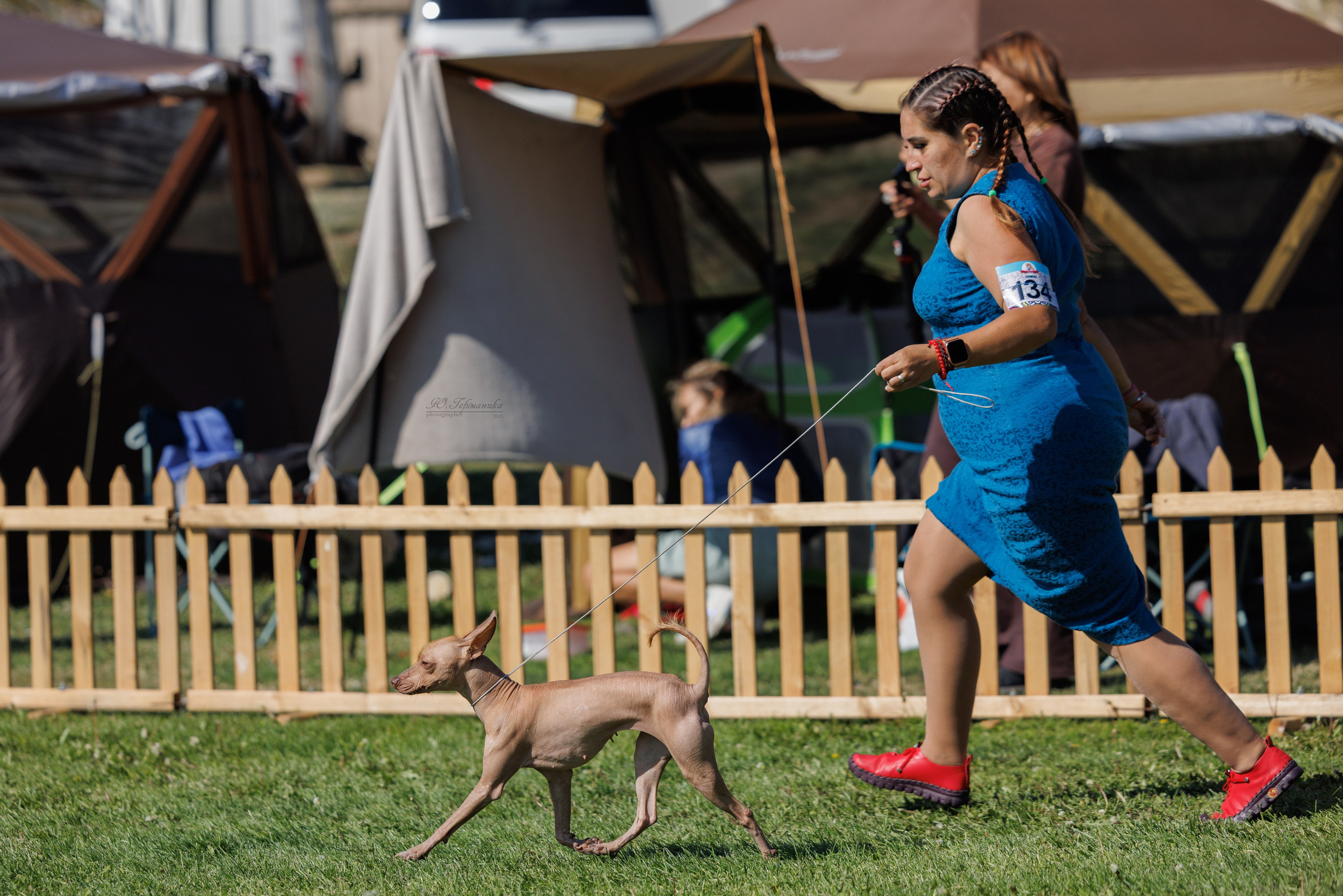 Ереван 14-16.10.2025. Фотограф-анималист Юлия Германика