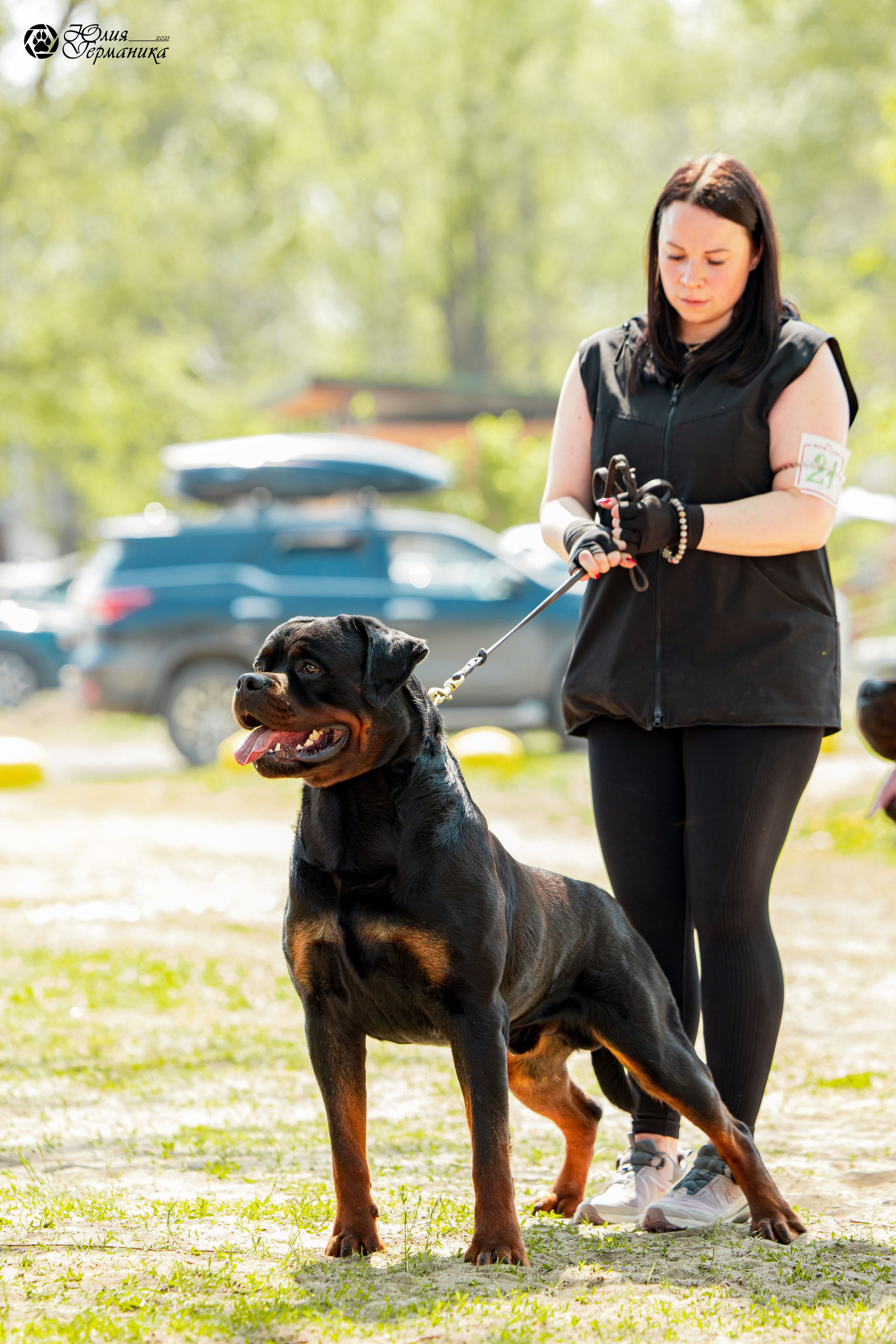Саратов моно ротвейлеров 26-27.04.2025. Фотограф-анималист Юлия Германика
