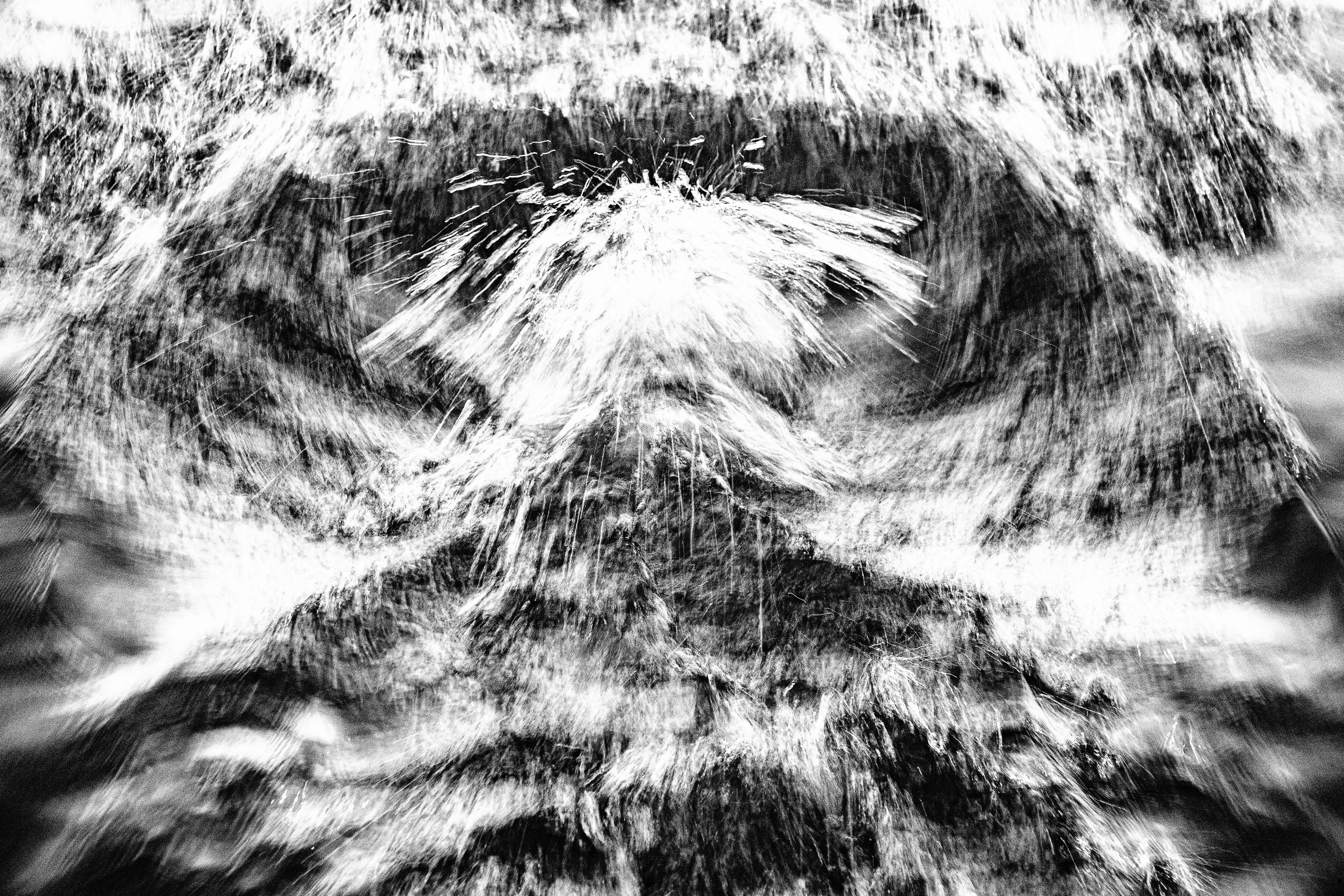 Даниэлла. Черно-белый фотограф Дмитрий Пчелкин