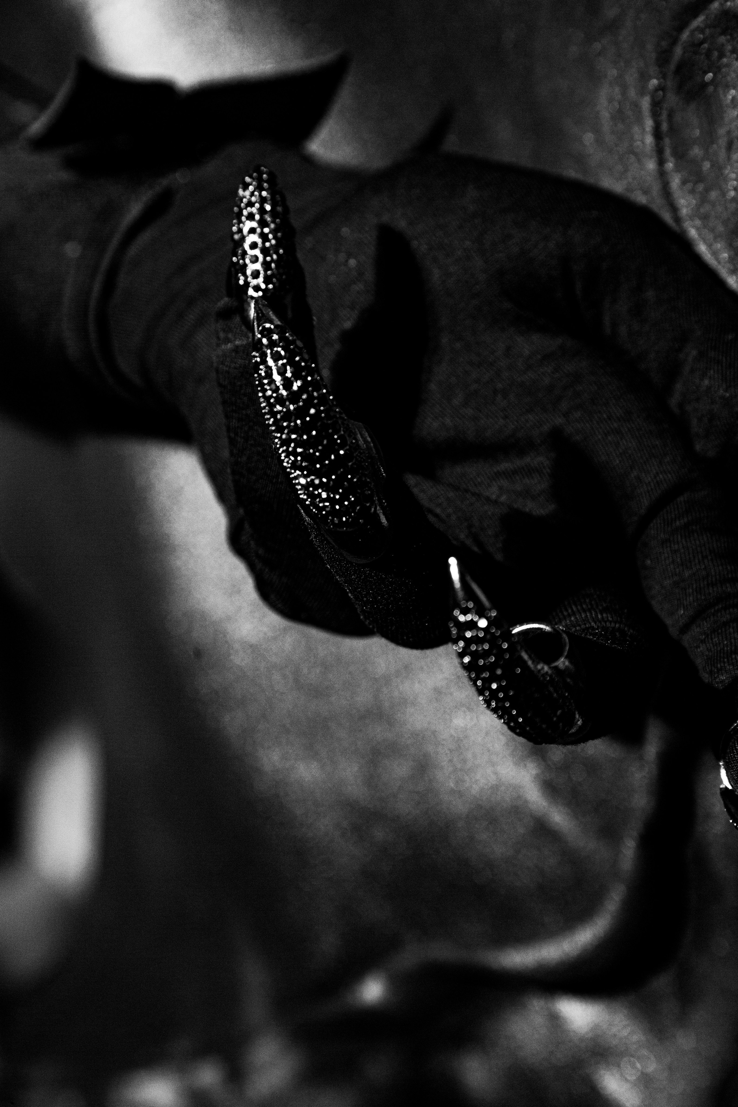 Алена. Дракон. Черно-белый фотограф Дмитрий Пчелкин