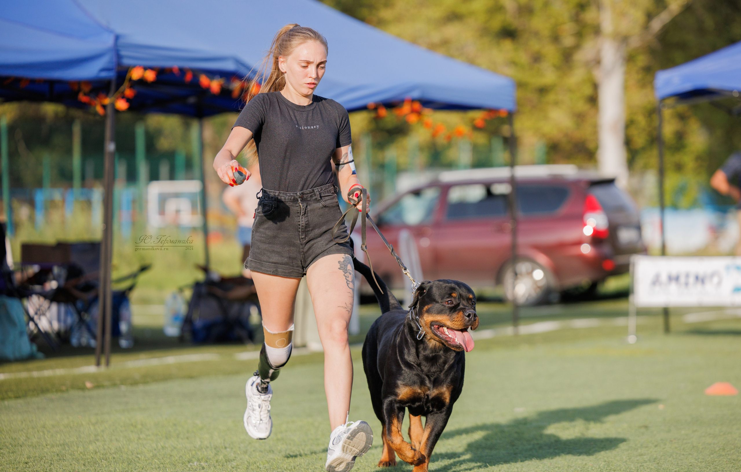 Анапа ротвейлеры 14-15.09.2024. Фотограф-анималист Юлия Германика
