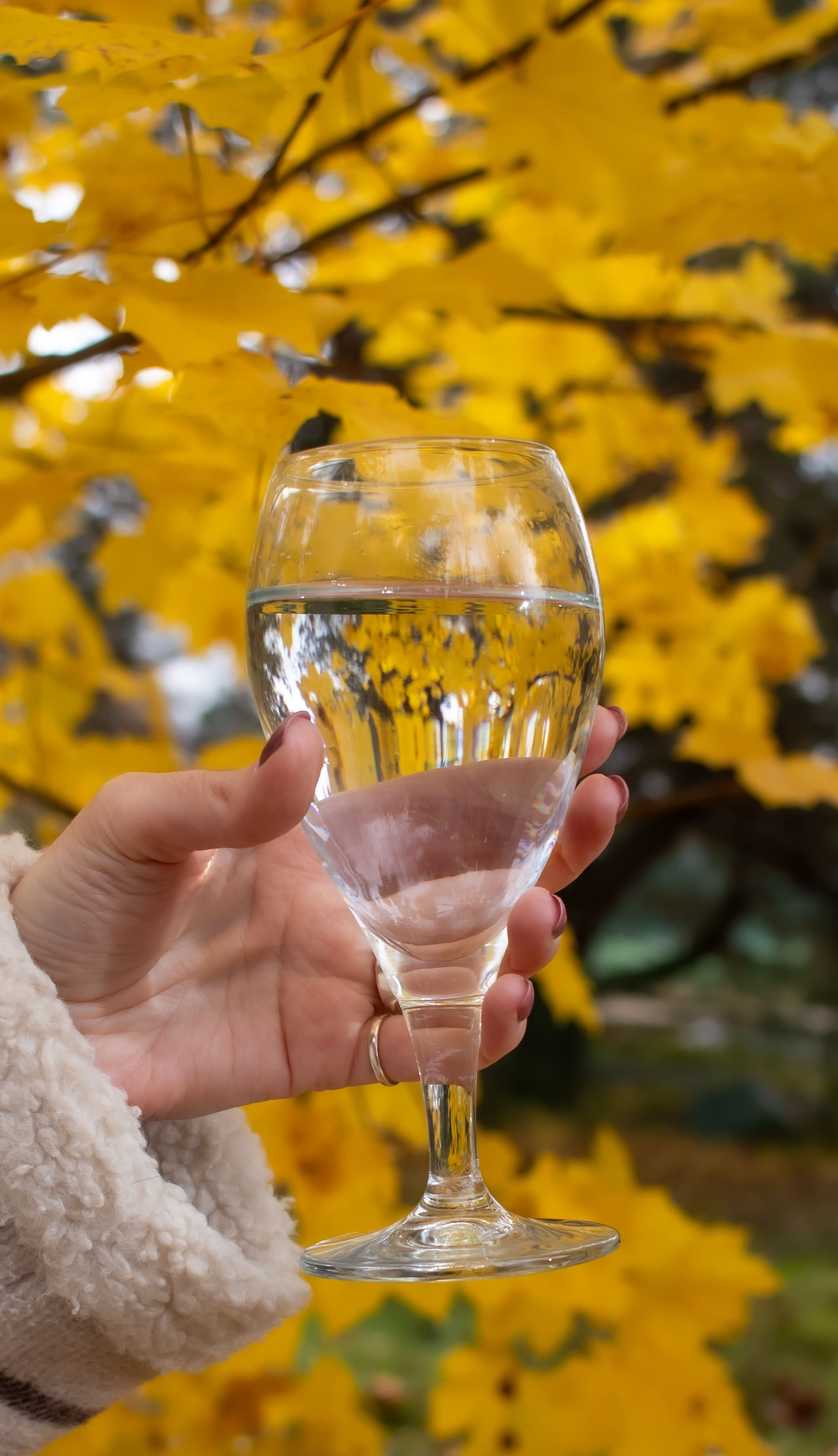 Осенний портрет