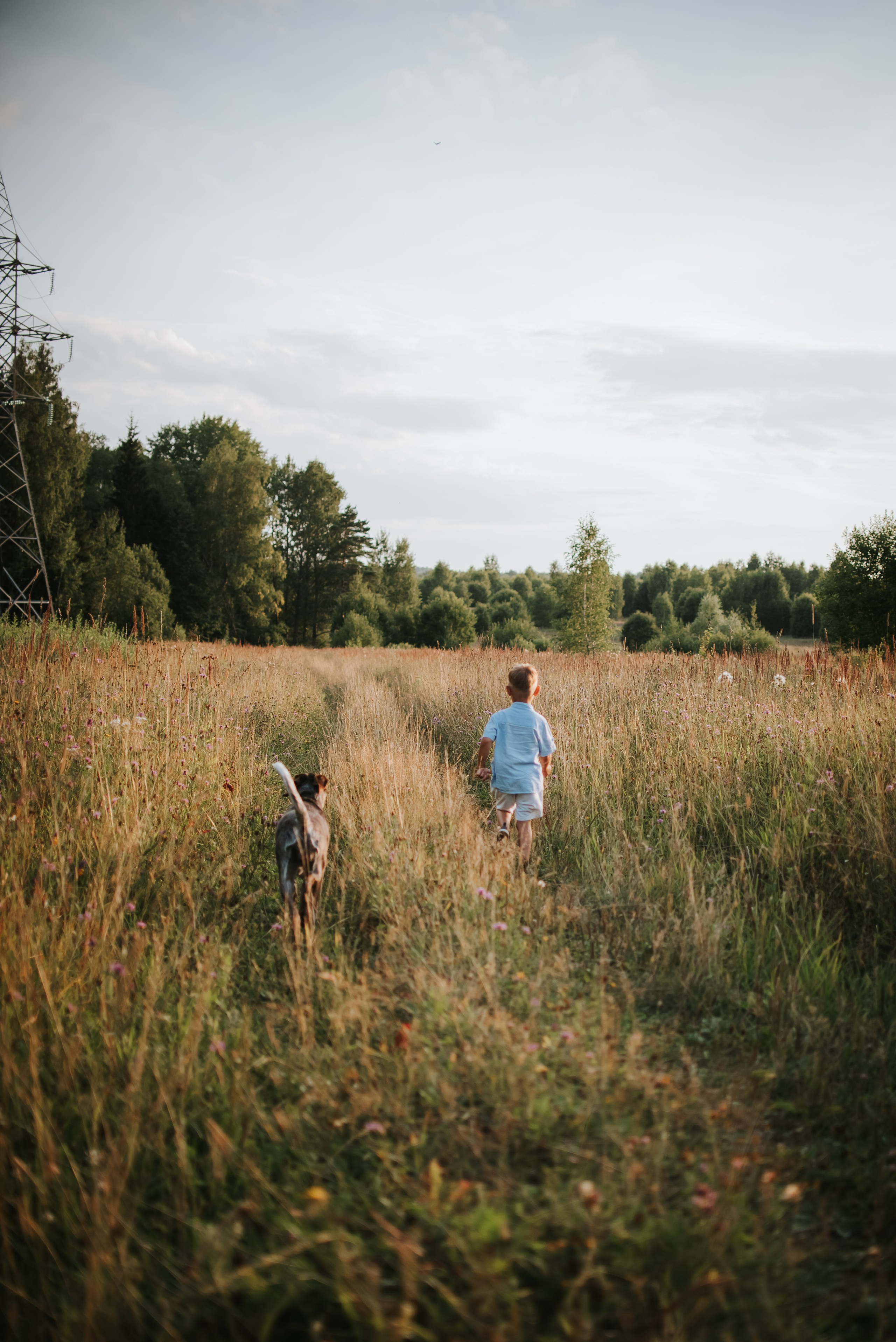 Витя и Кофи. Фотограф-анималист Валерия, Москва, Мытищи