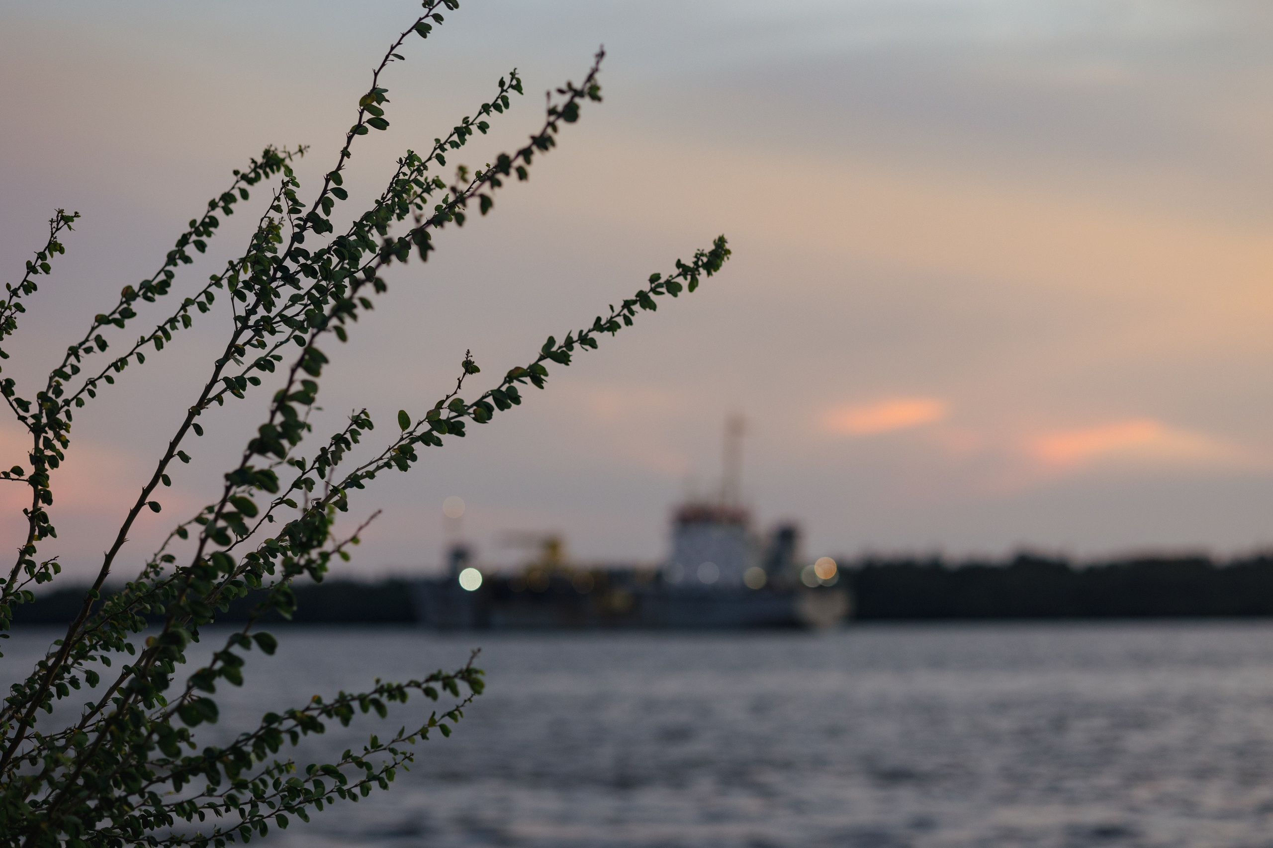 Samut Prakan. Фотограф Сонкина Татьяна