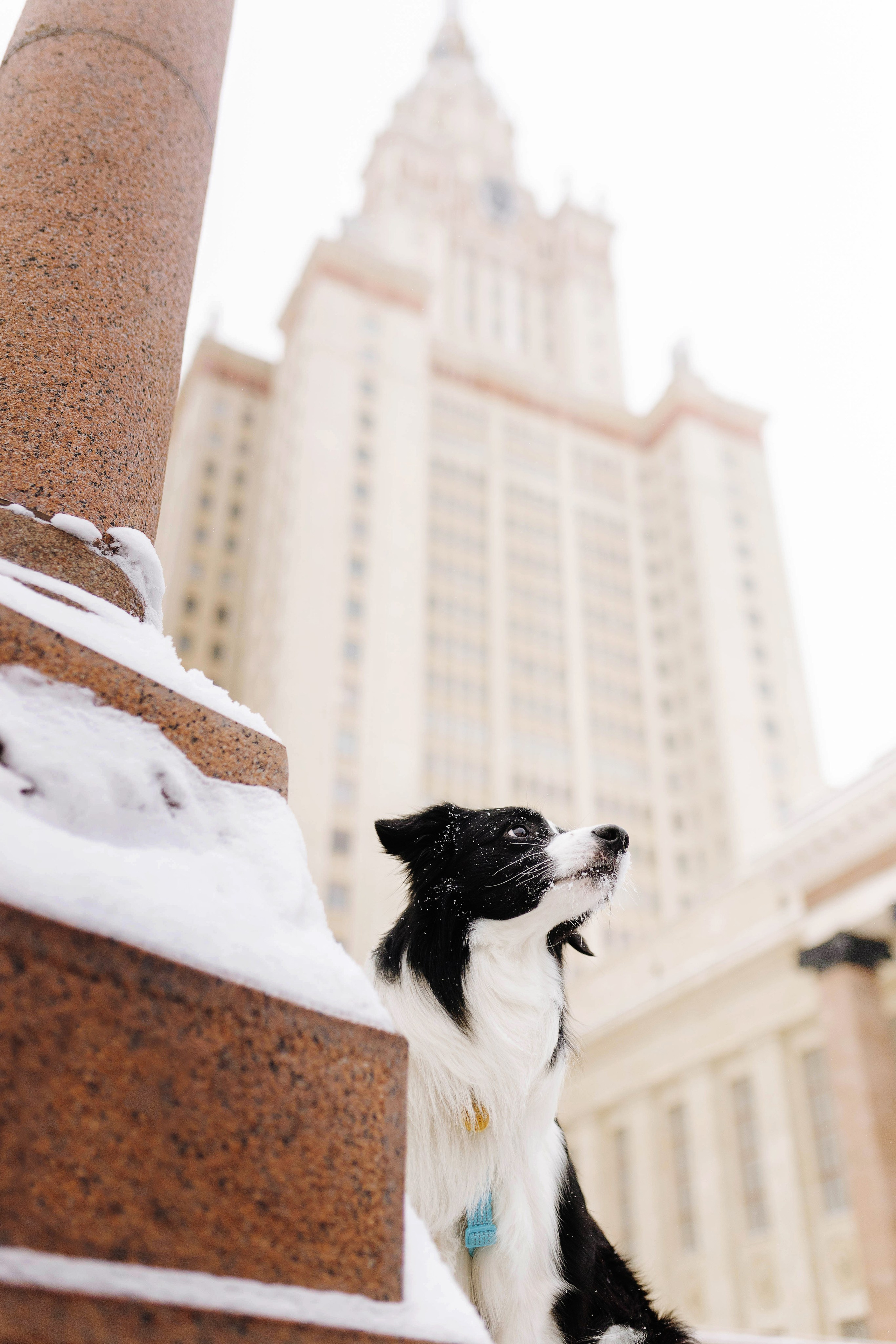 Москва / Лера и Саймон. Фотограф Кузина Вера