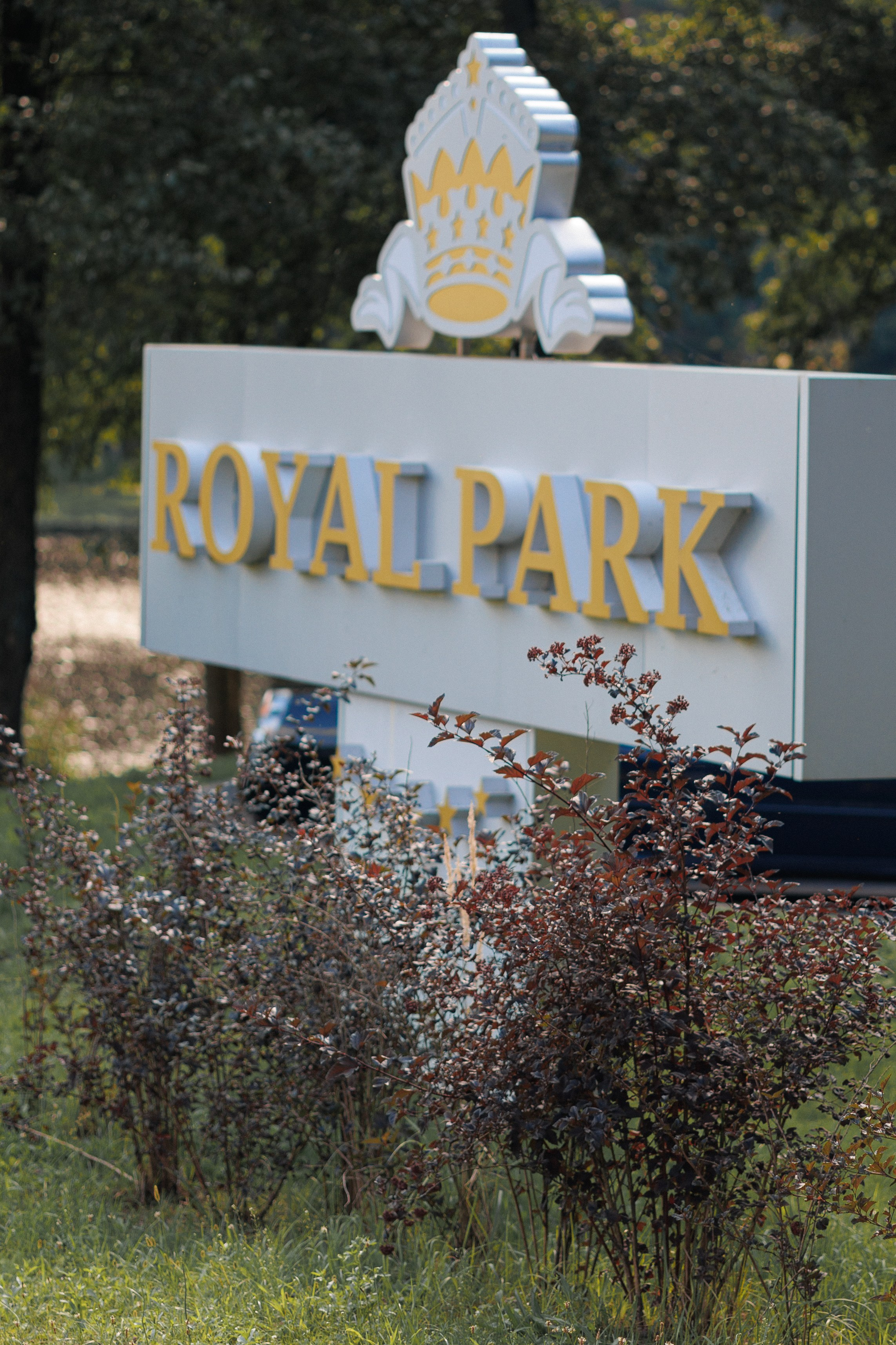 Алина и Денис. Свадебный фотограф Минск РБ