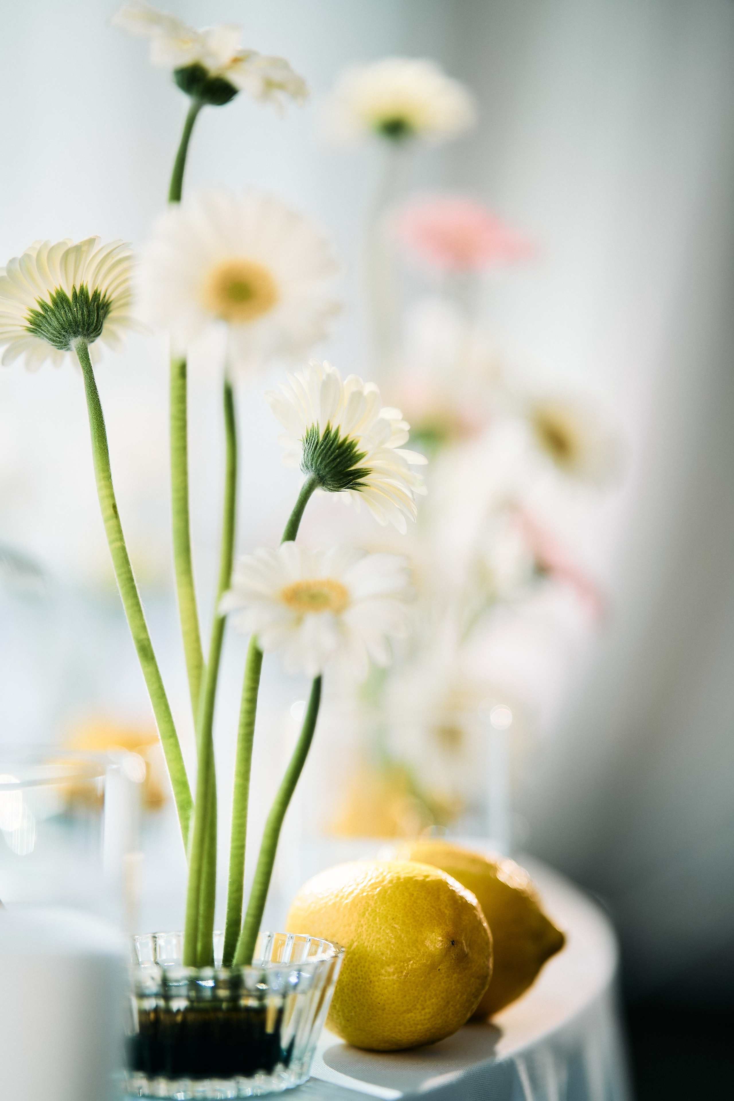 Виталий и Диана. Свадебный фотограф Минск РБ