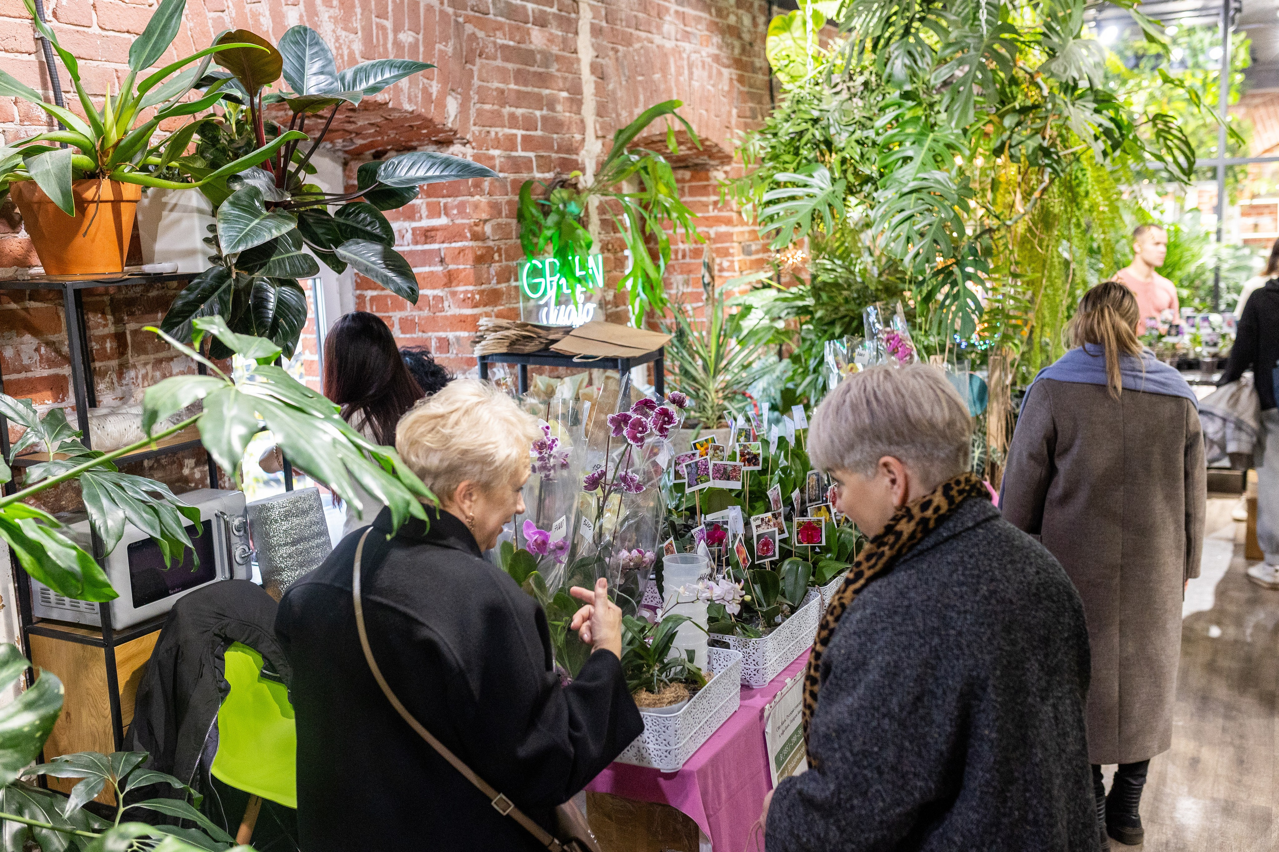 GreenRare ярмарка 2024. Александра Куликова фотограф, Москва