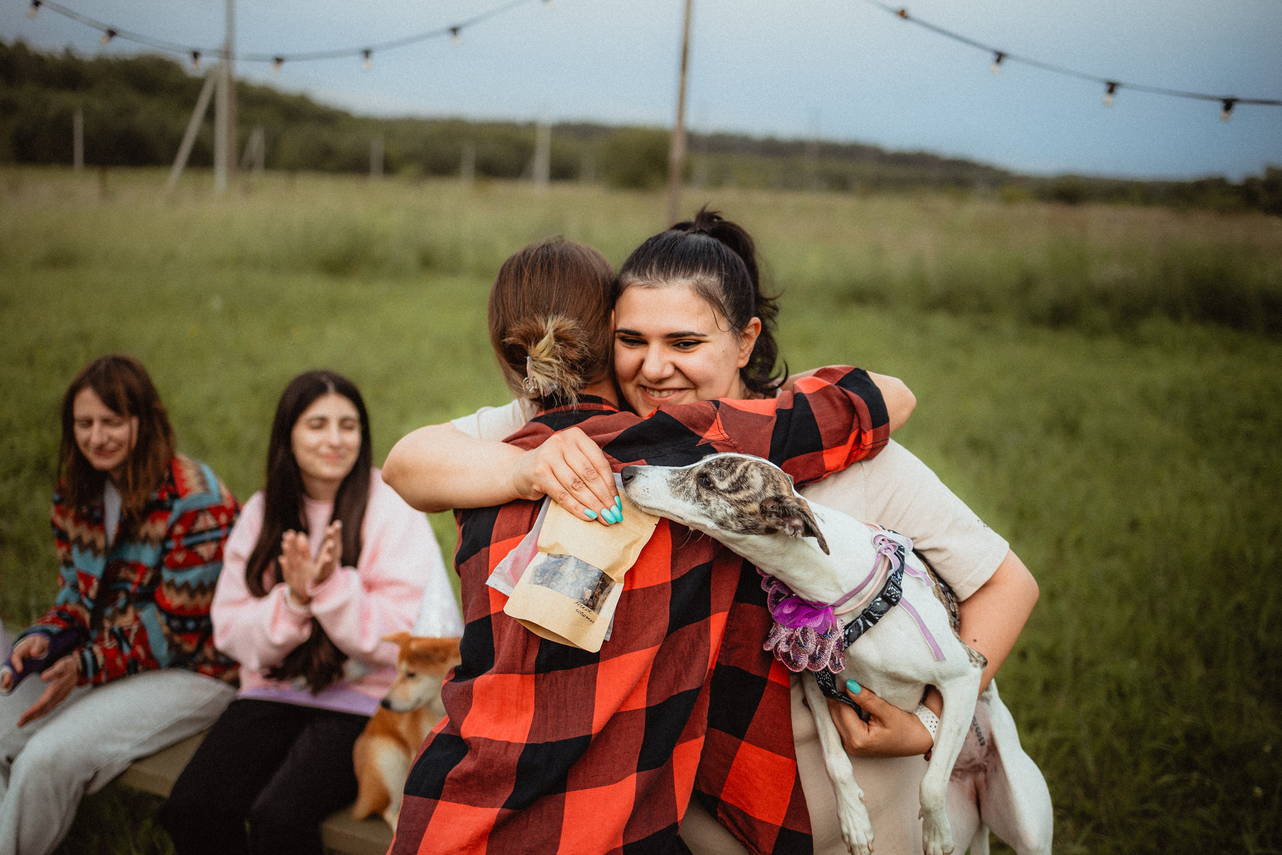 Выездной дог-тренинг от школы «Шерсть имею»