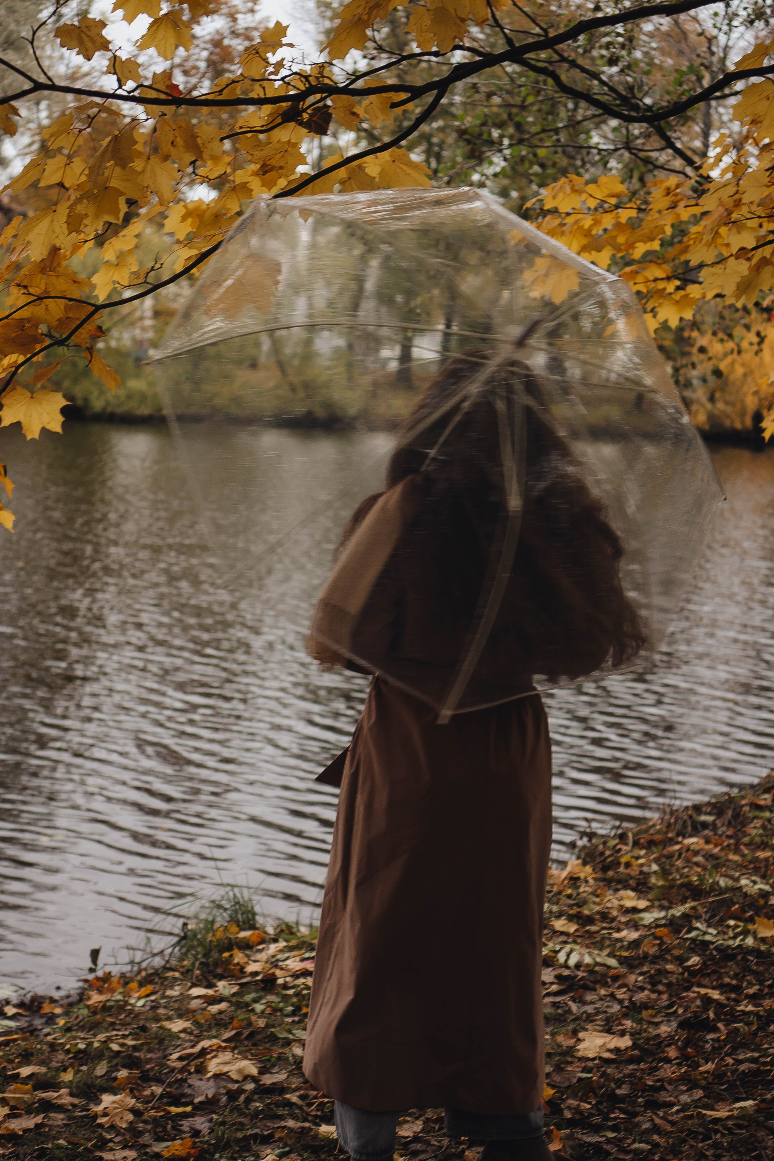 Осень. Профессиональный фотограф, Санкт-Петербург — Виктория Богомолова